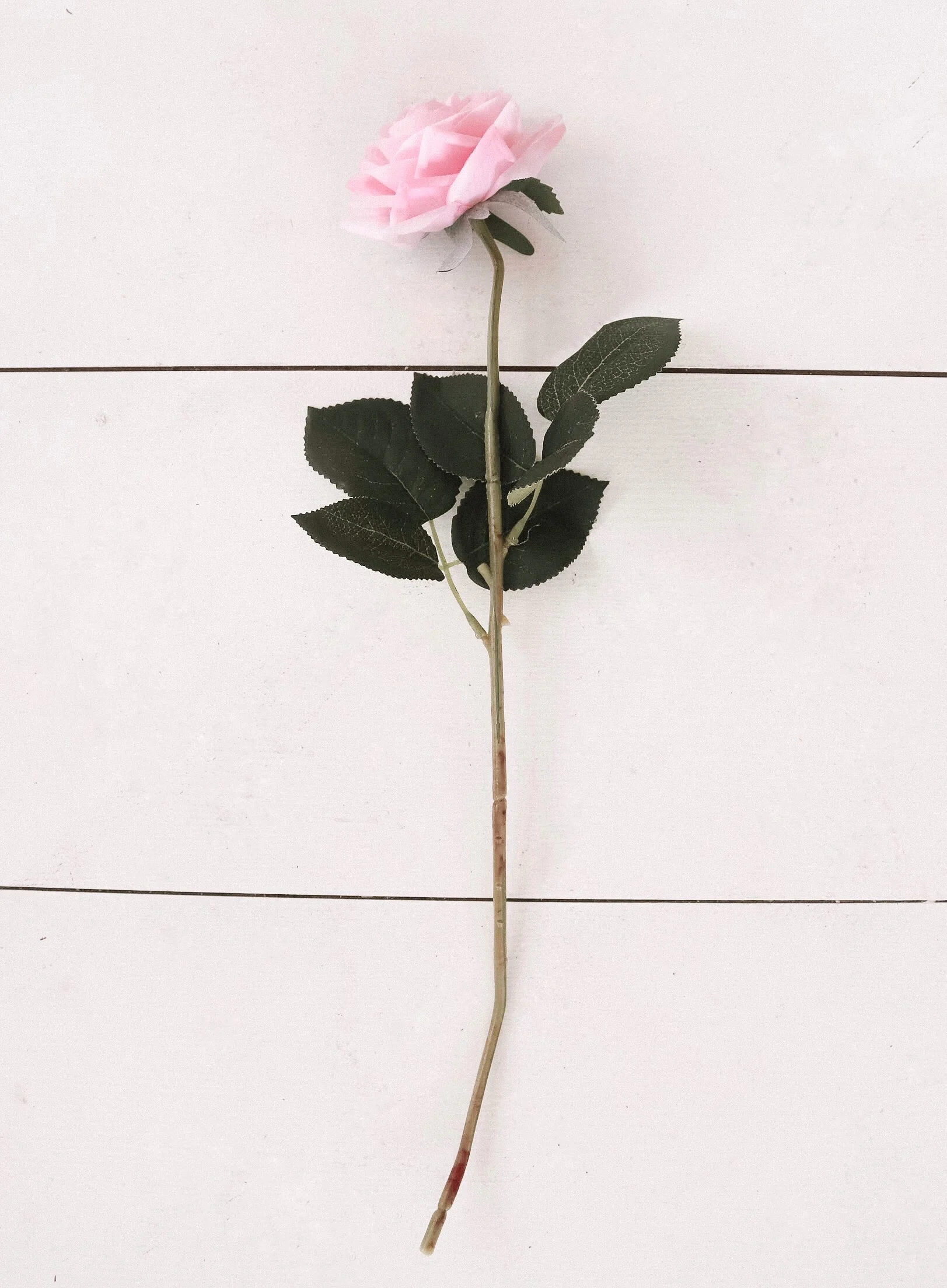 Everlasting Silk Rose- Karama by Hoda.jpg