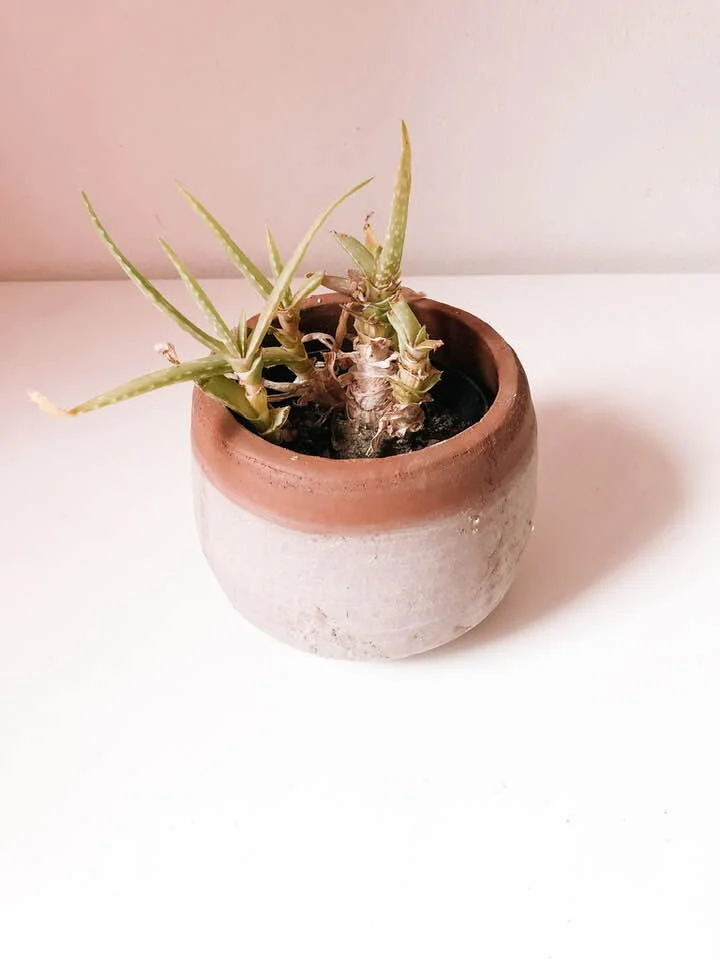Terracotta Planter -Karama