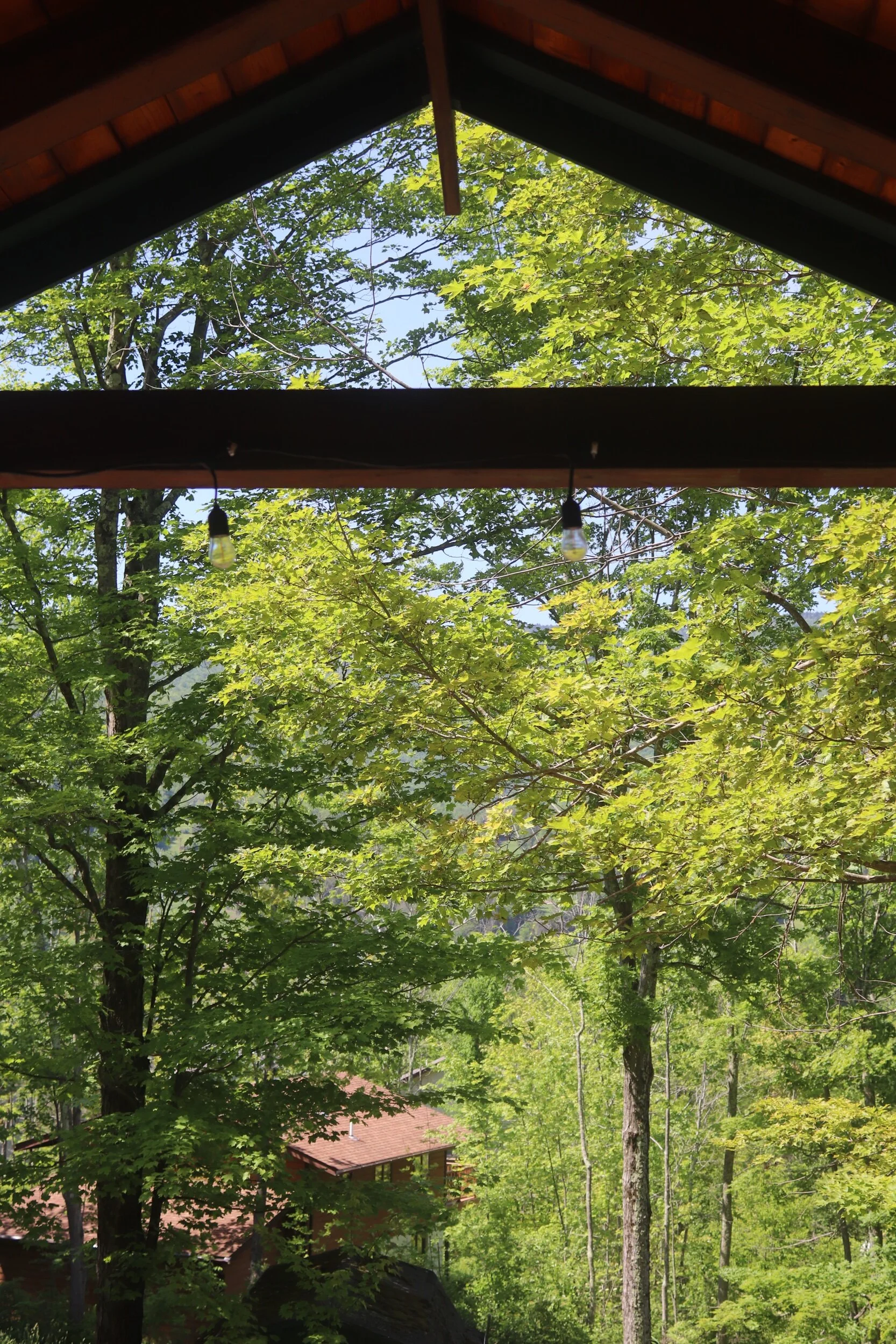 3F19621B-7090-4930-ADFF-492F7DC9D68E