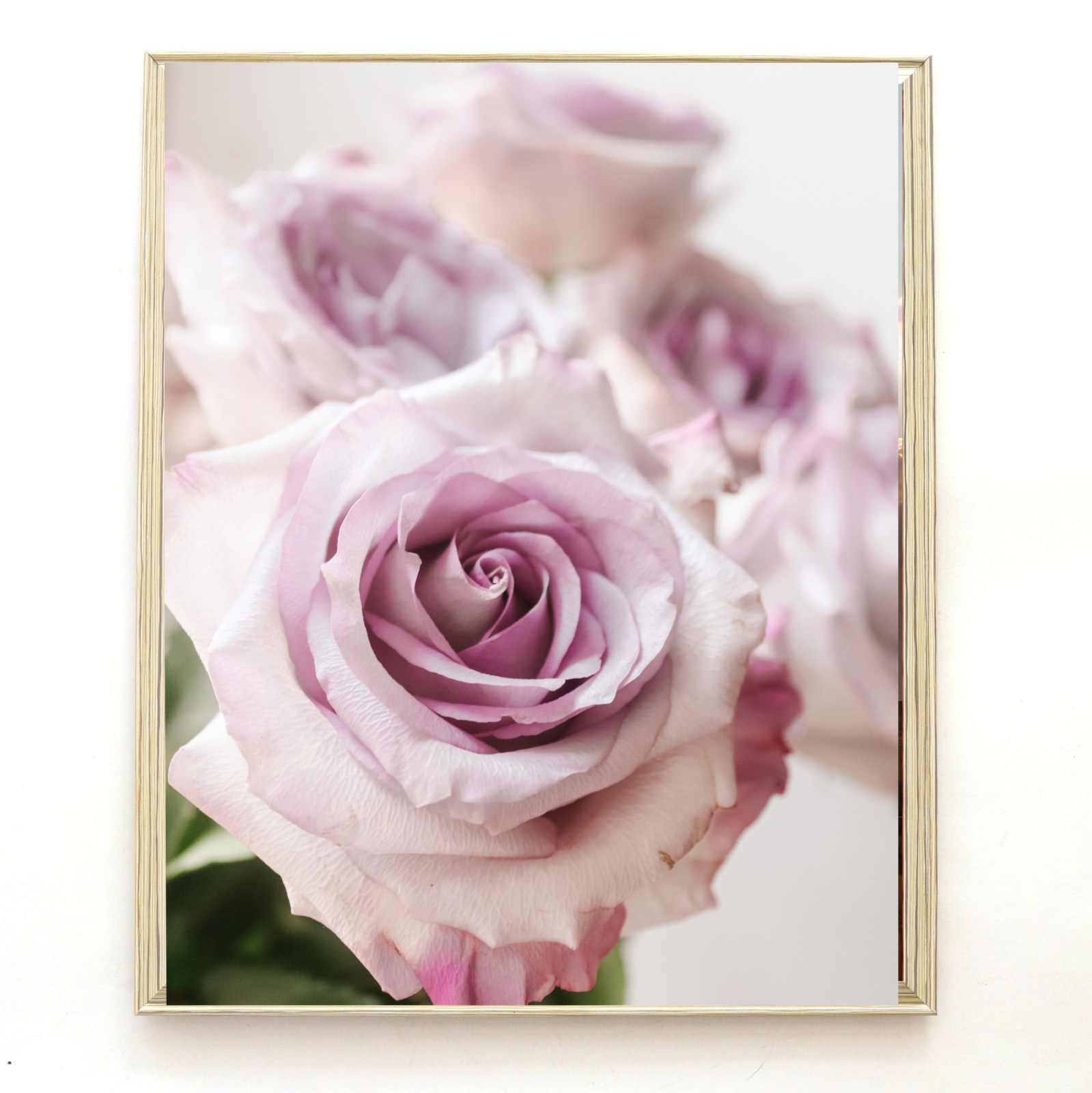 E00A8472-2130-4CB9-9A19-492704C38D16