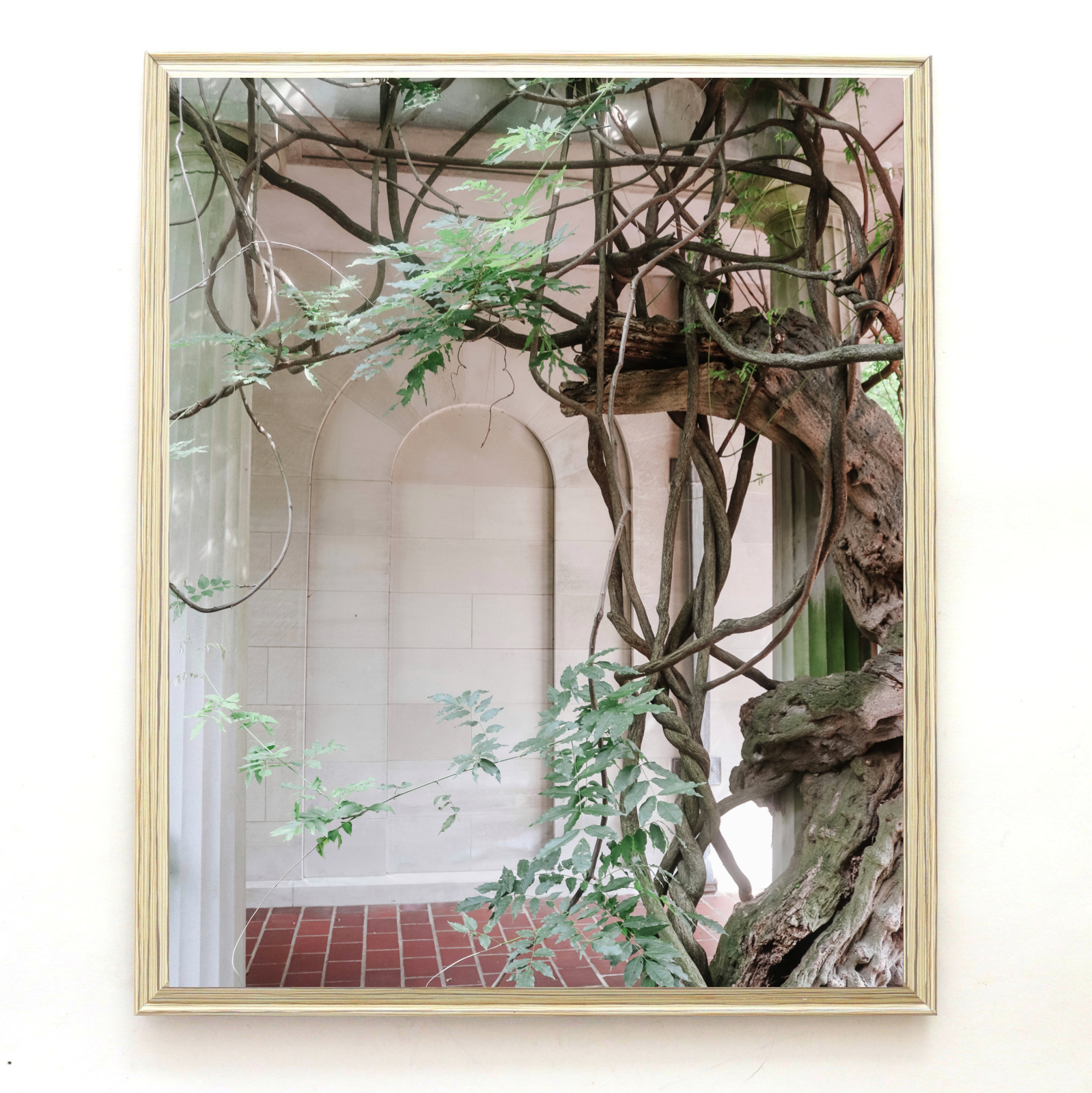 C4D1C2FB-78FF-429B-A624-52C12E018966