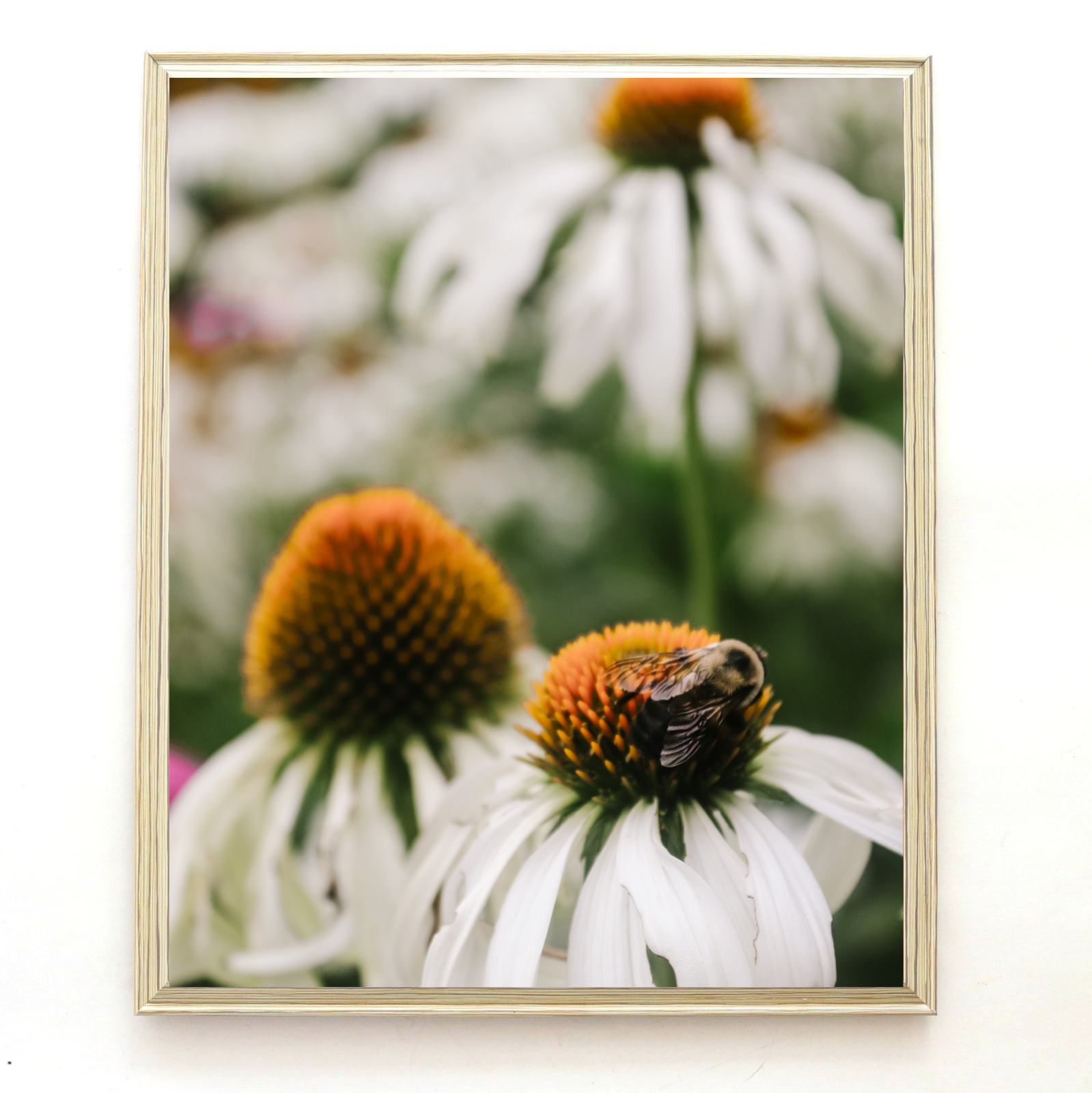 0F403429-1E6D-41E7-99ED-C1749DC43D77