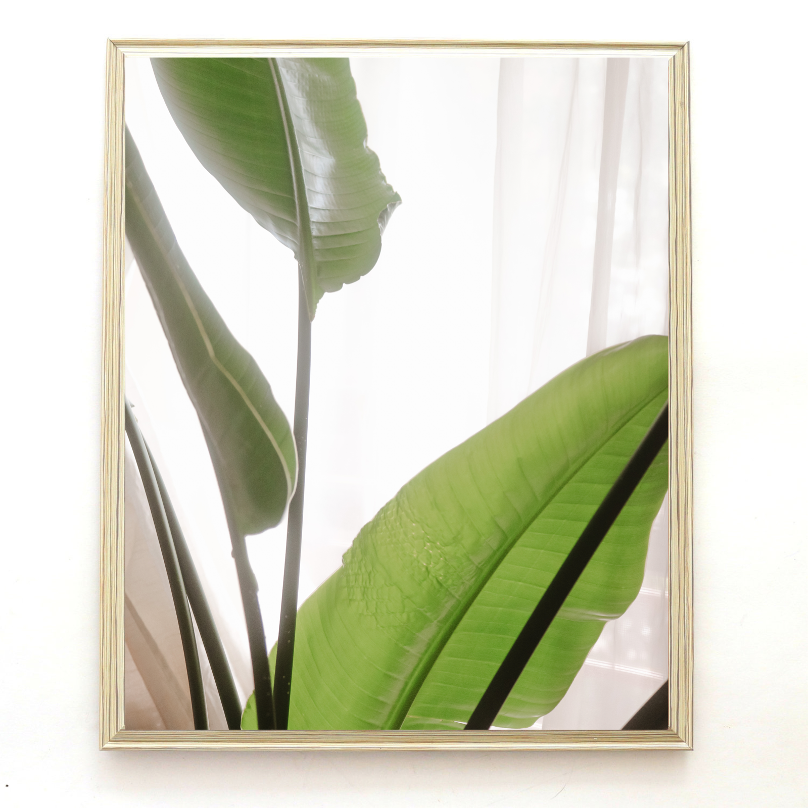 392D3740-FE8A-4F86-B15C-021F55A7F4BC