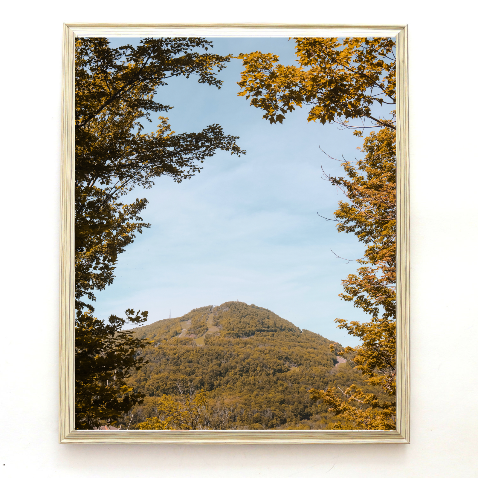 10CA0CA5-3CF0-4747-B82D-4DEEADD7F66A