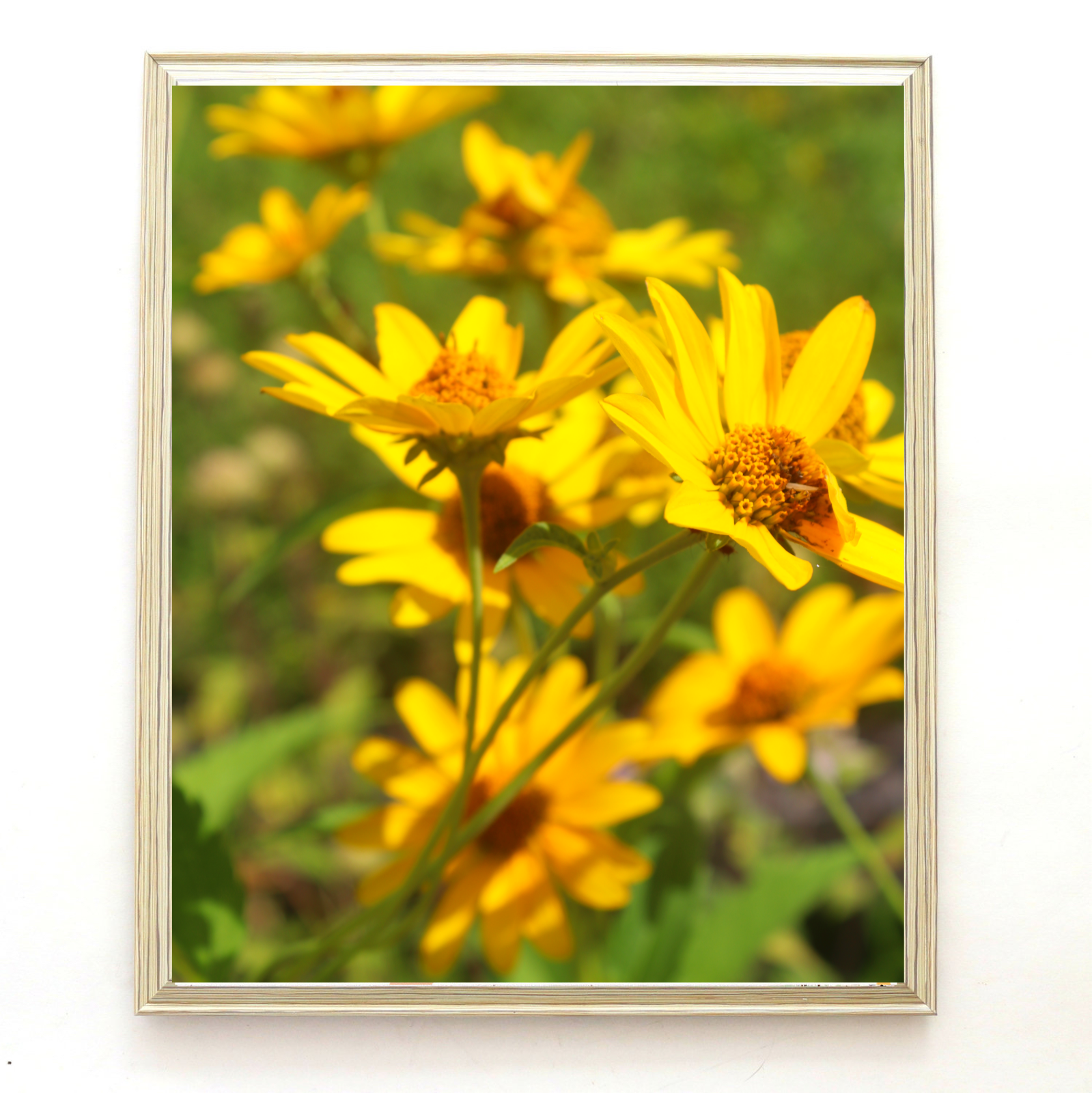 E4C7FF2E-8944-490D-A1AE-E2975787DCE9