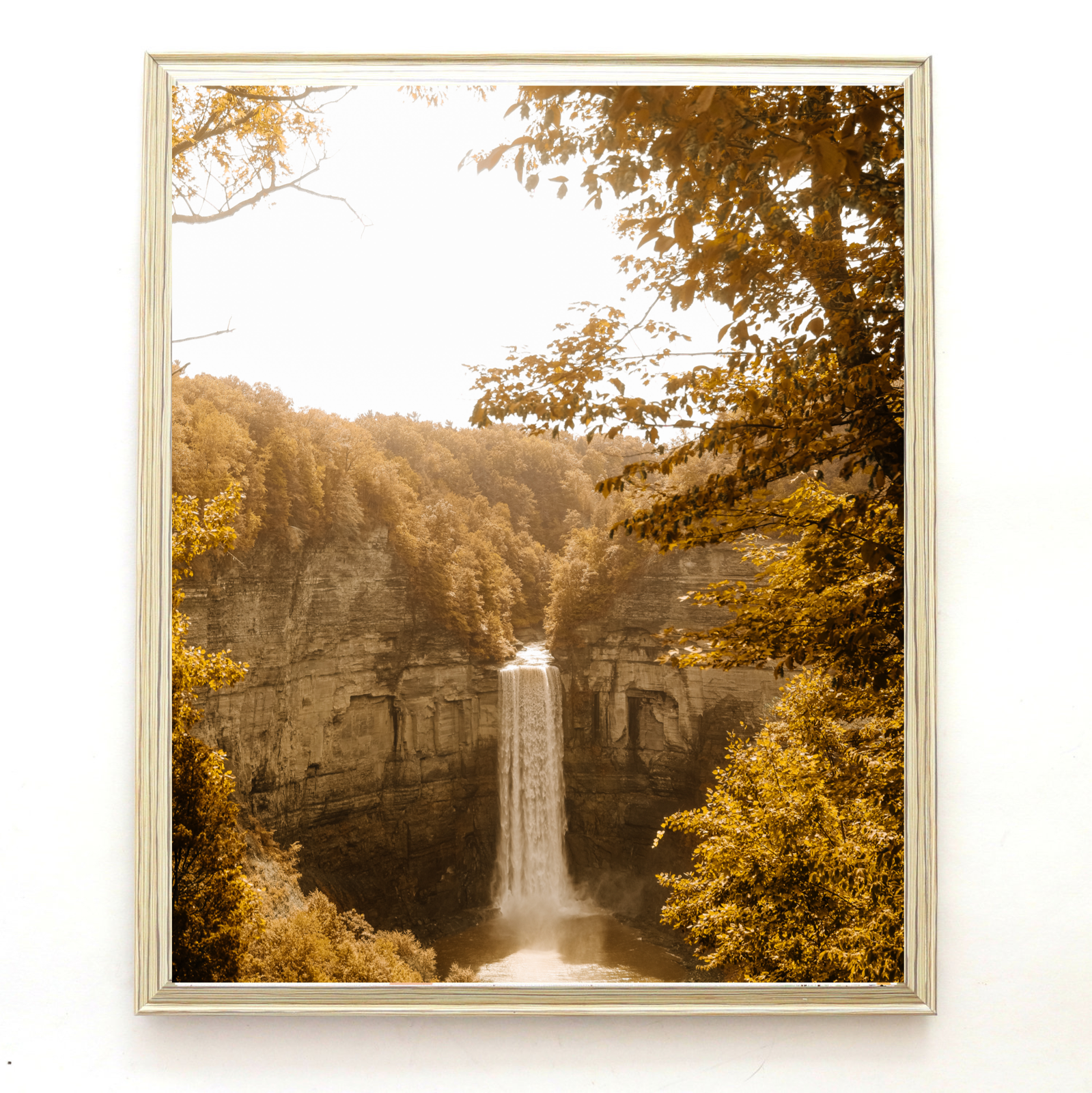 865BF1D4-D9D3-4C18-956D-0320D8A2D0F8