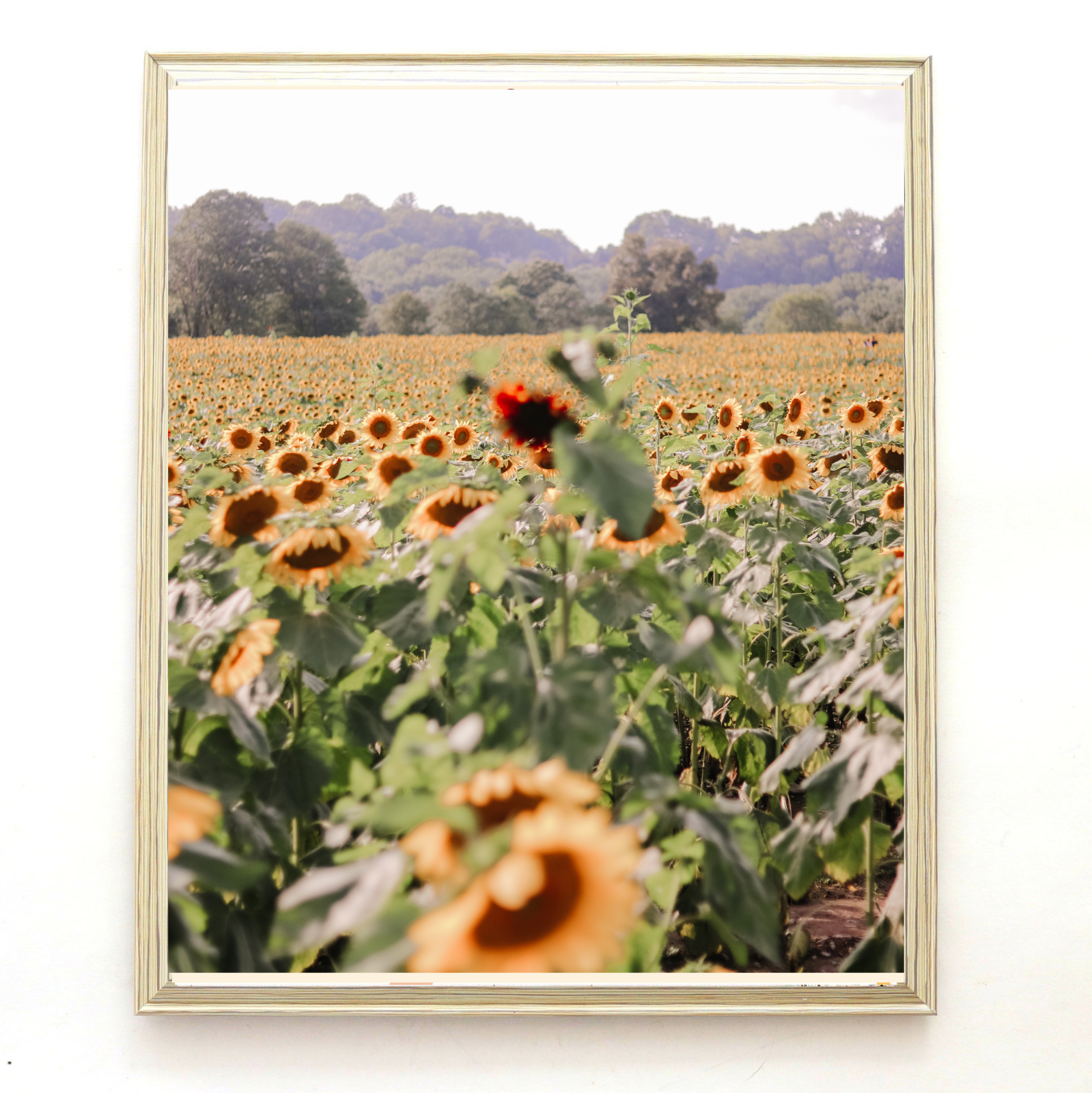 1BFF3C34-720E-43C7-8FBF-F797C0903FFA