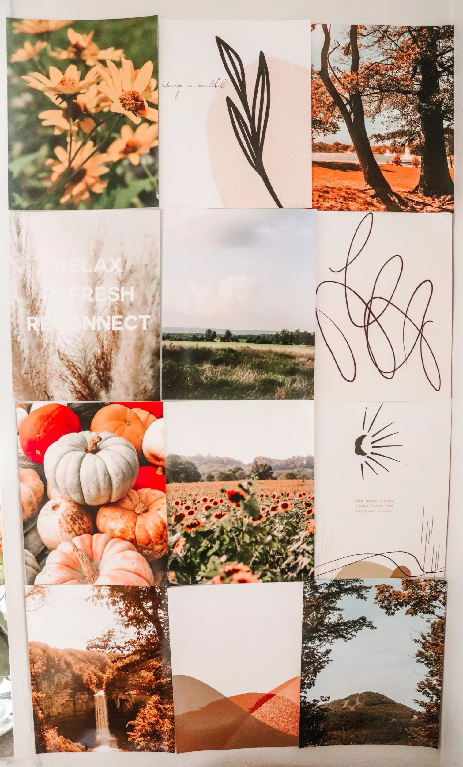 E6B5302E-3053-4E8A-815E-152542456167