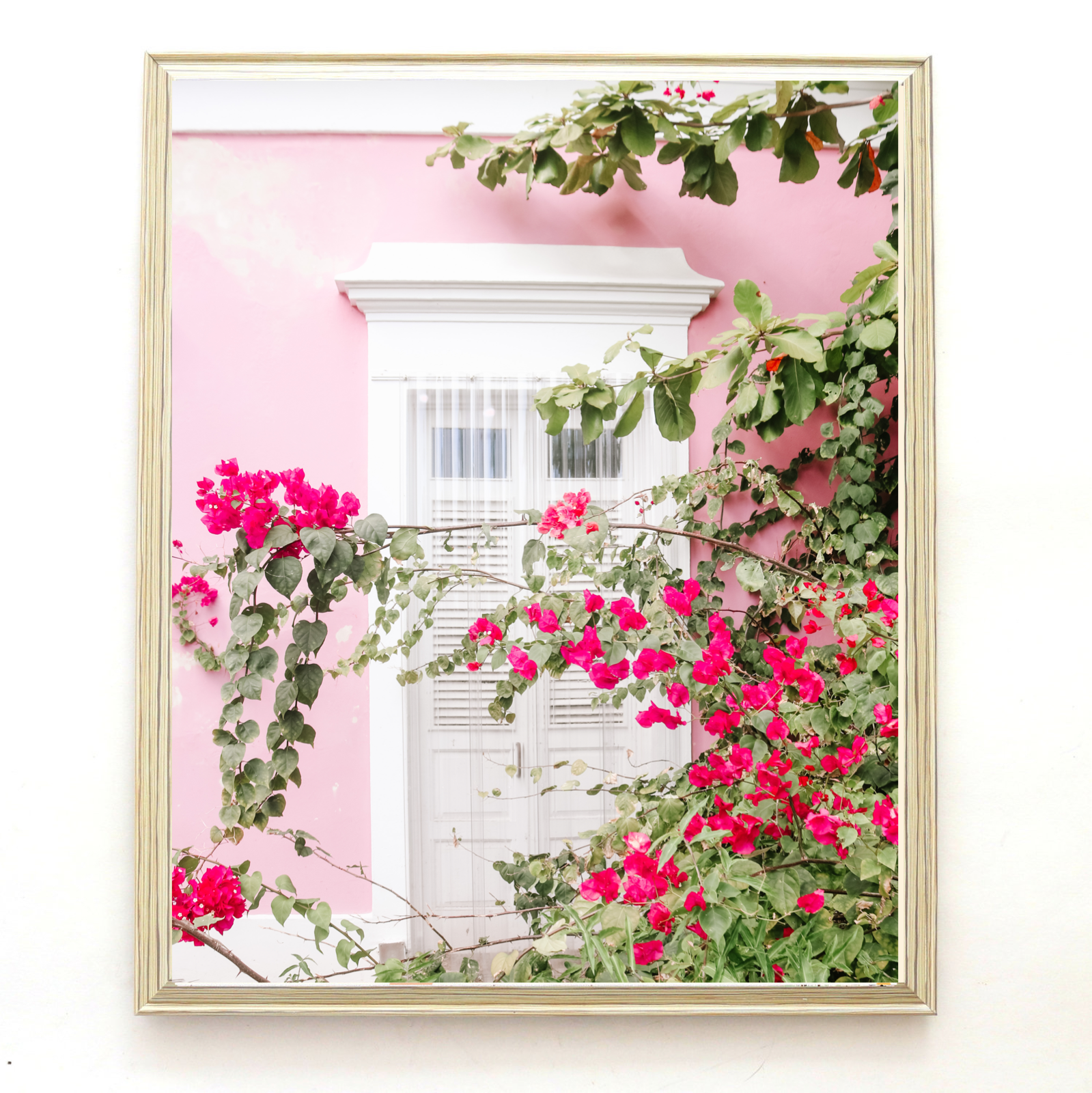 8966C93B-AF74-4AB5-B3C9-184FED26FEC6