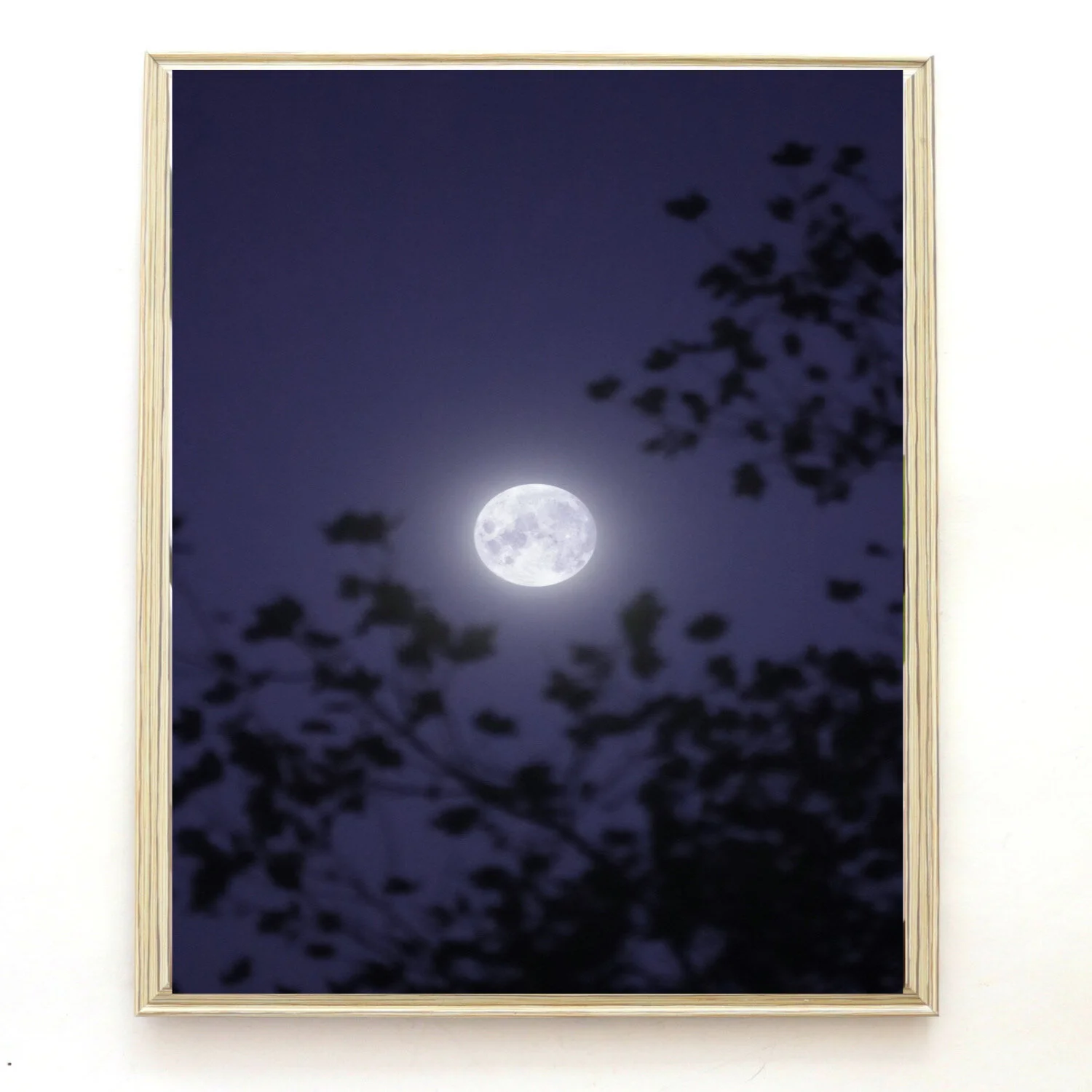 AD9E9D33-E9FA-4186-9DD9-1C9E4FCD00F6