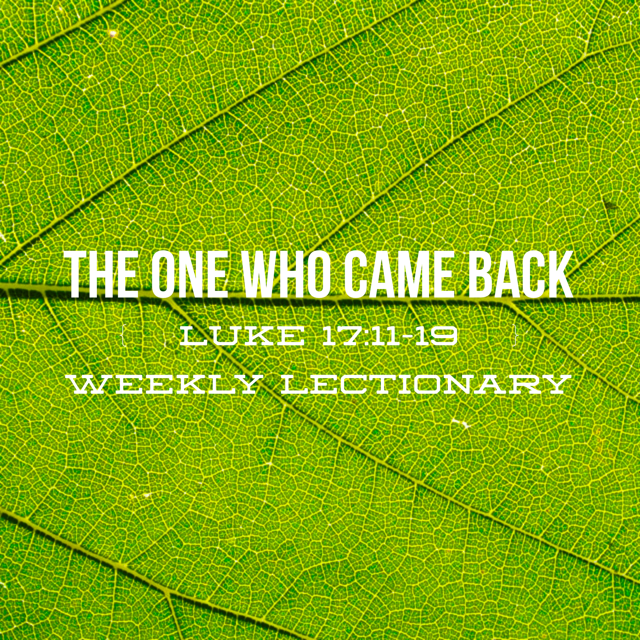 The One Who Came Back