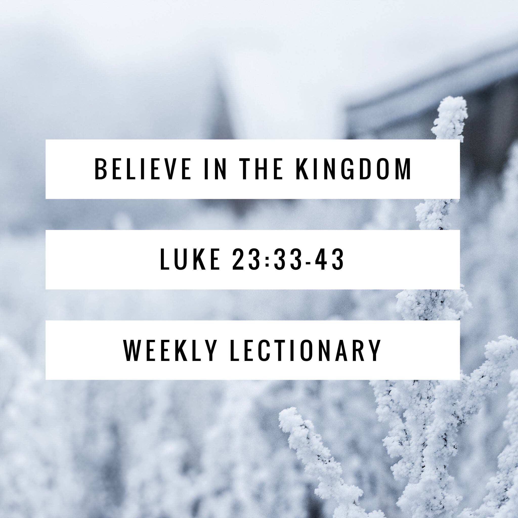 Believe in the Kingdom