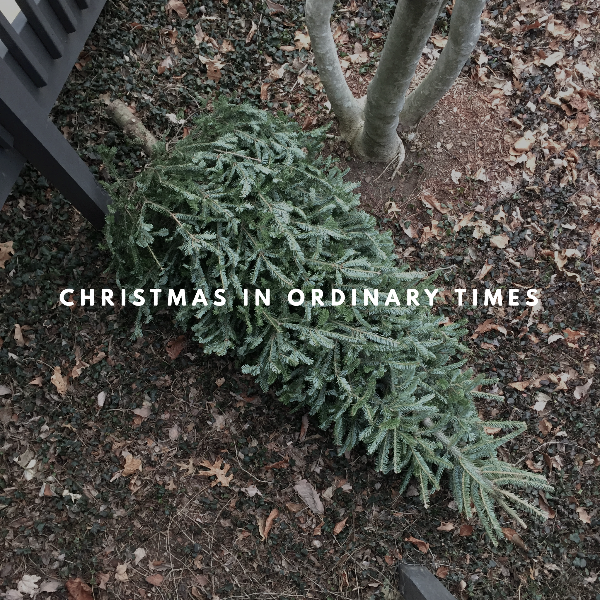 Christmas in Ordinary Times