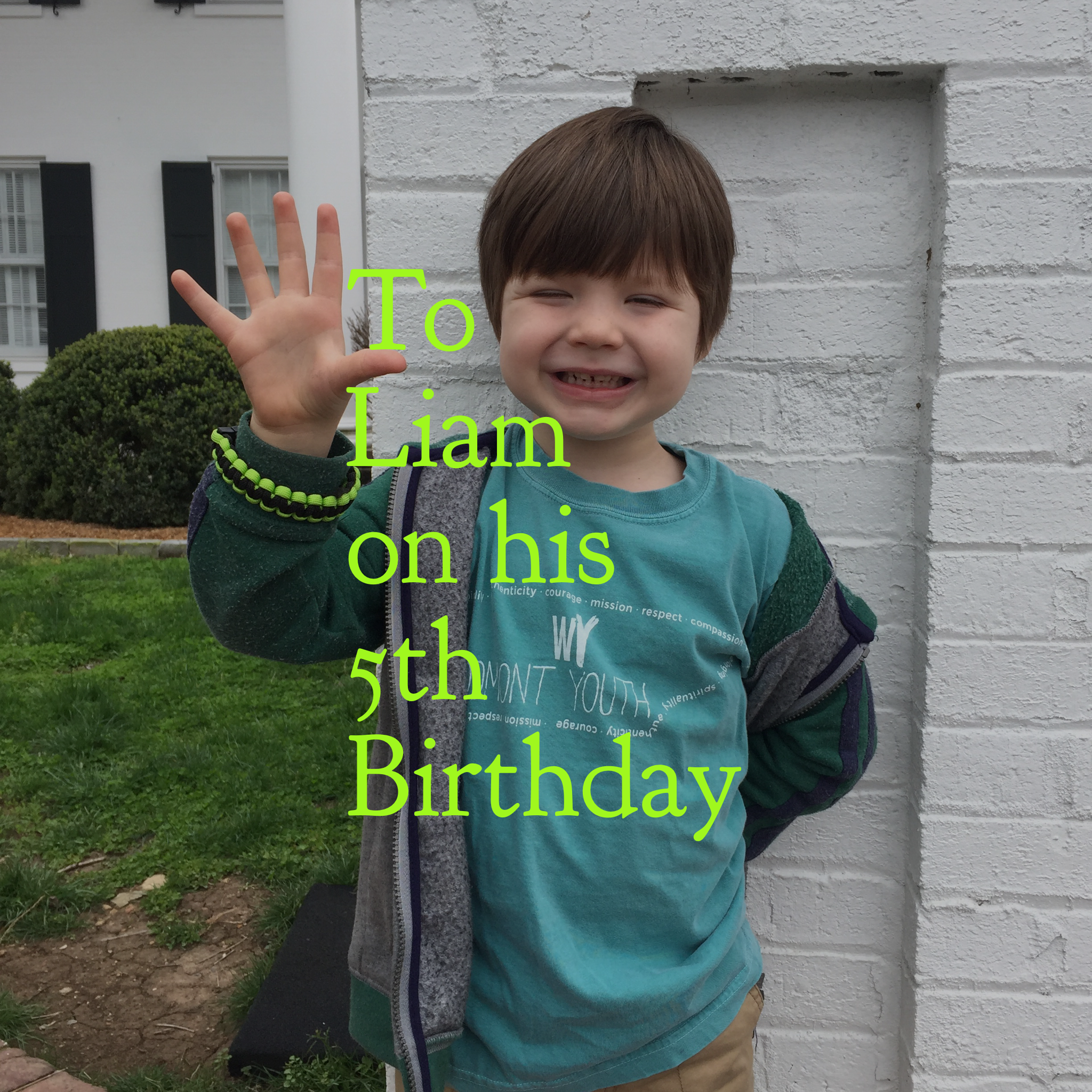 To Liam on his 5th Birthday