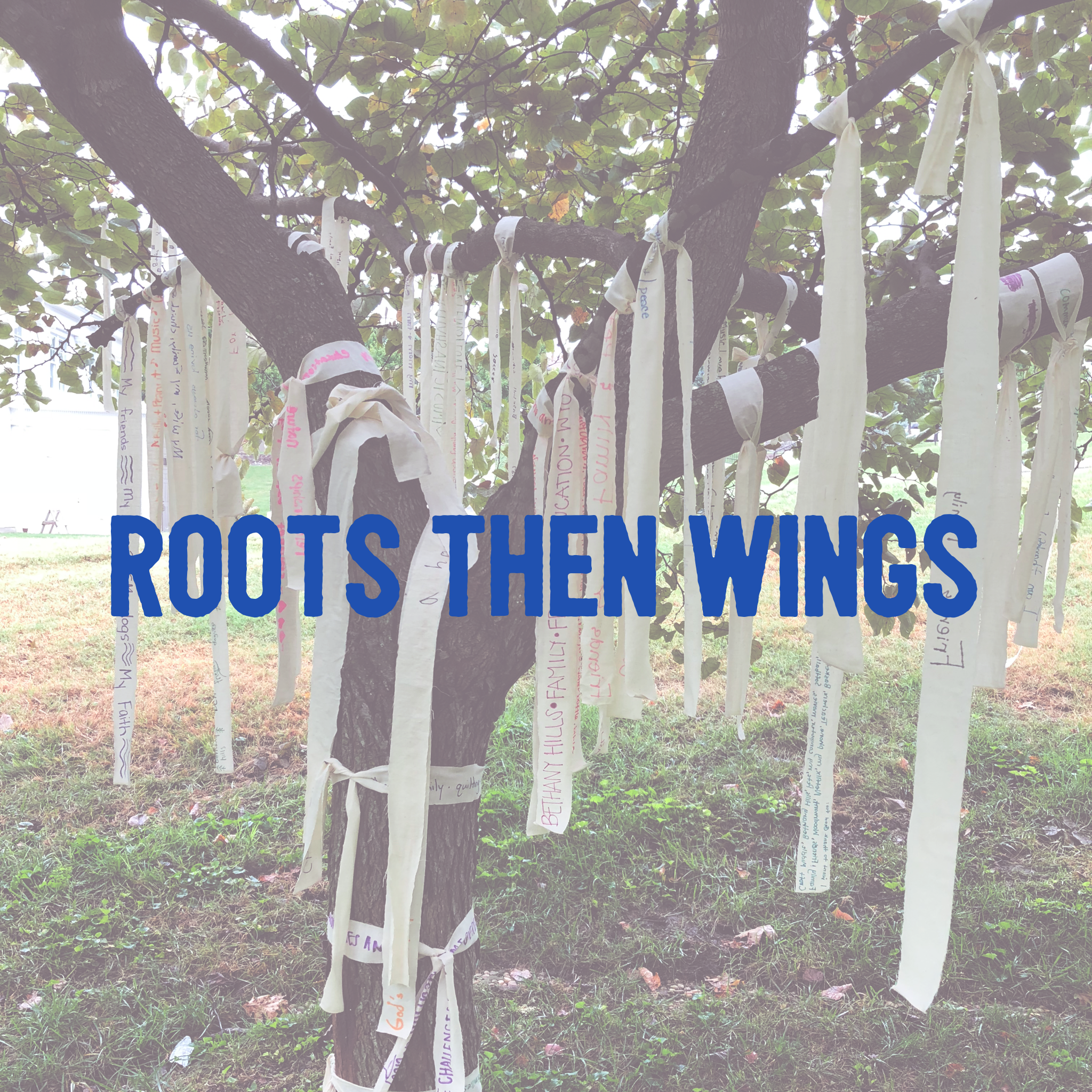 Roots Then Wings