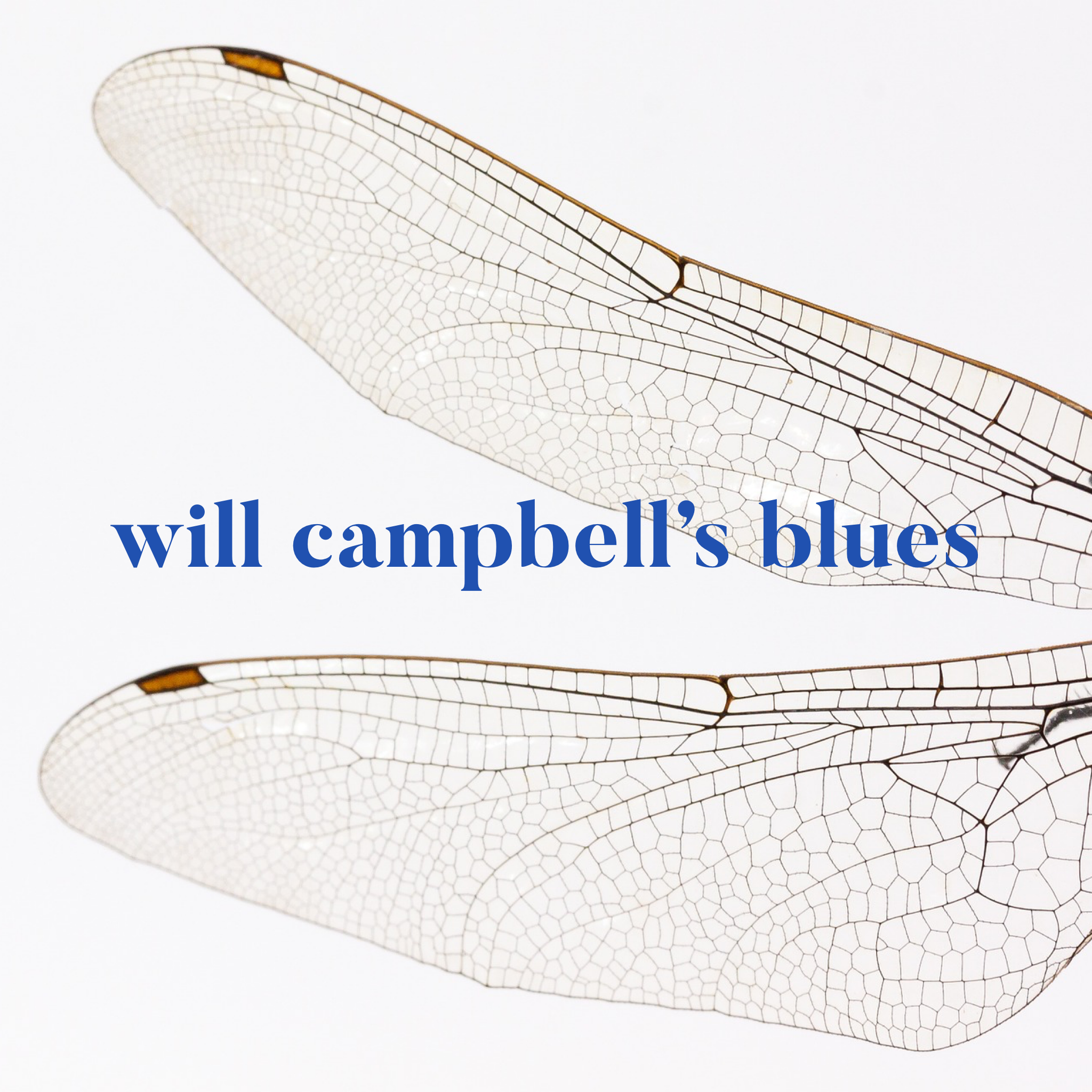 Will Campbell's Blues