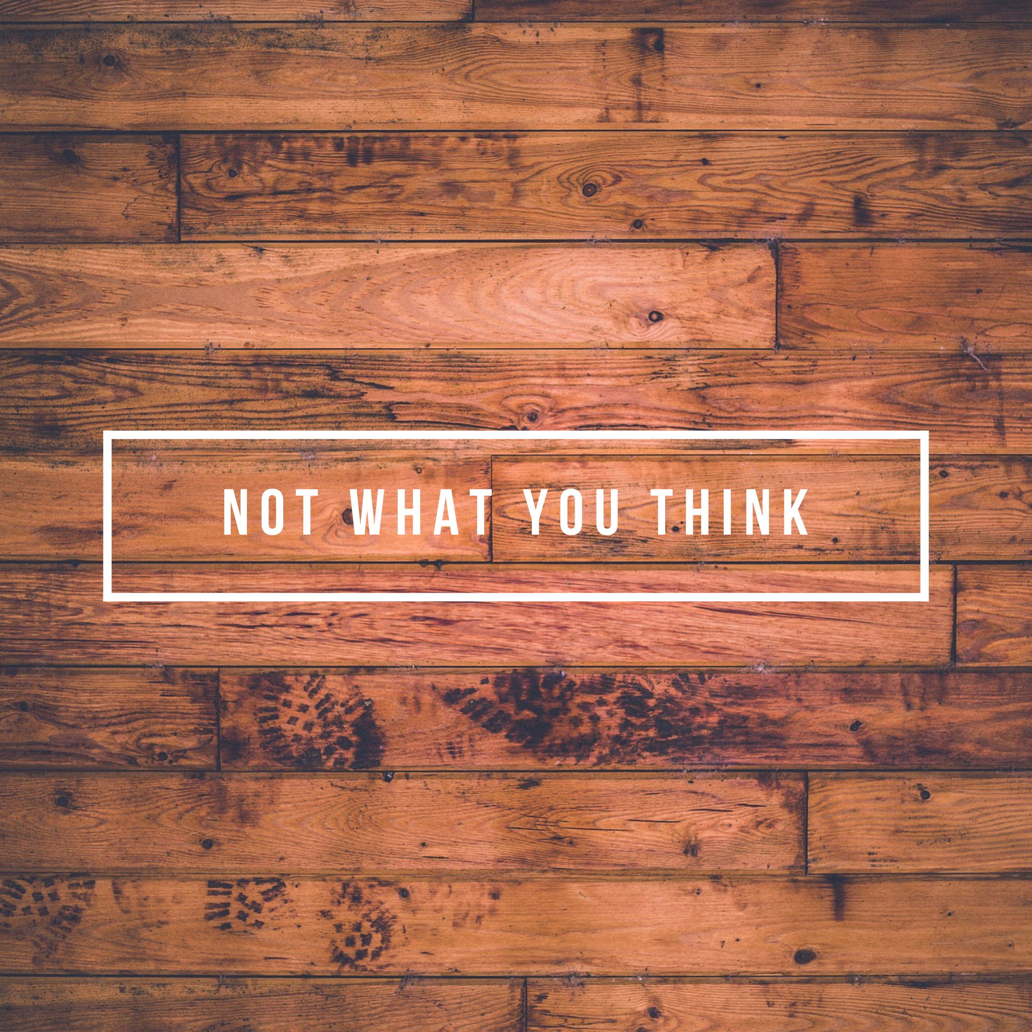 Not What You Think (Luke 7:36-8:3)