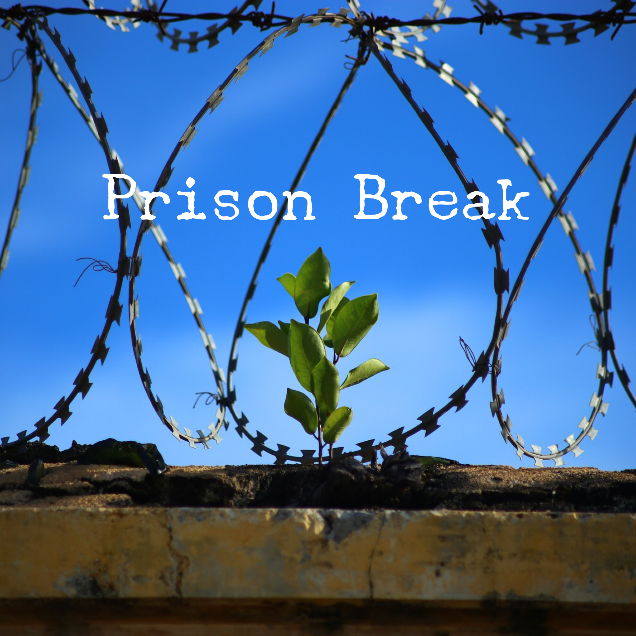 Prison Break (Philippians 4:4-9)