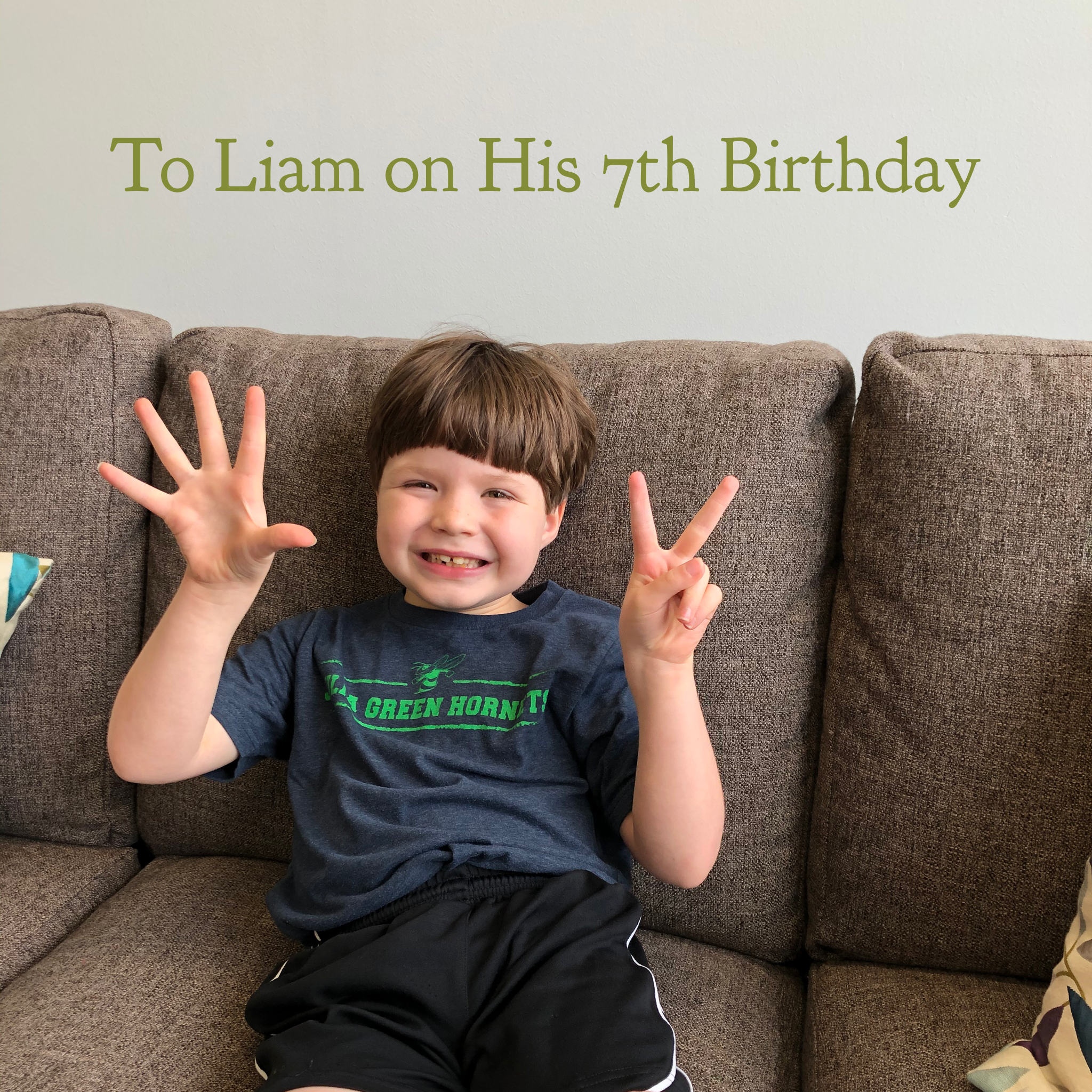 To Liam on His 7th Birthday