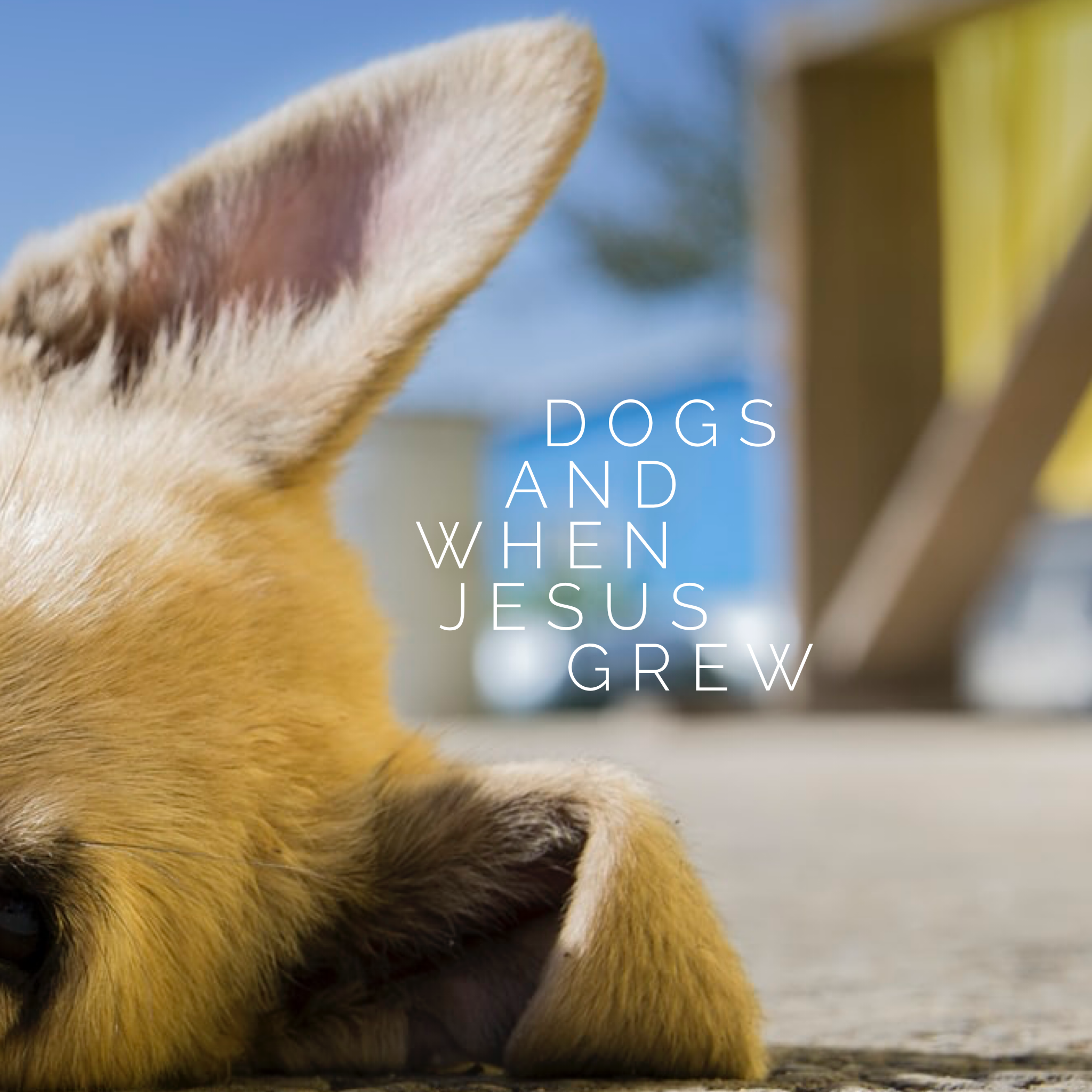 Dogs and When Jesus Grew