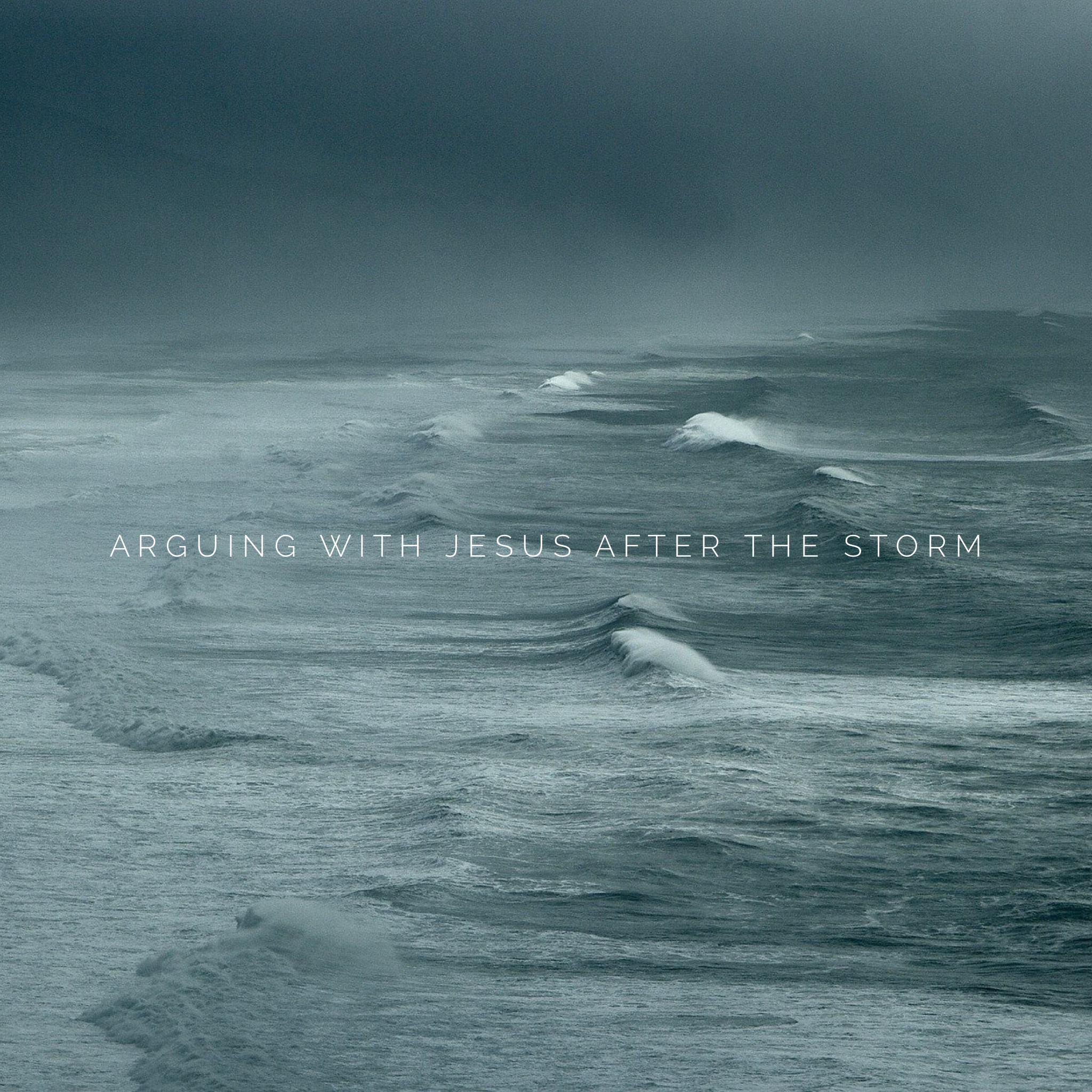 Arguing with Jesus After the Storm