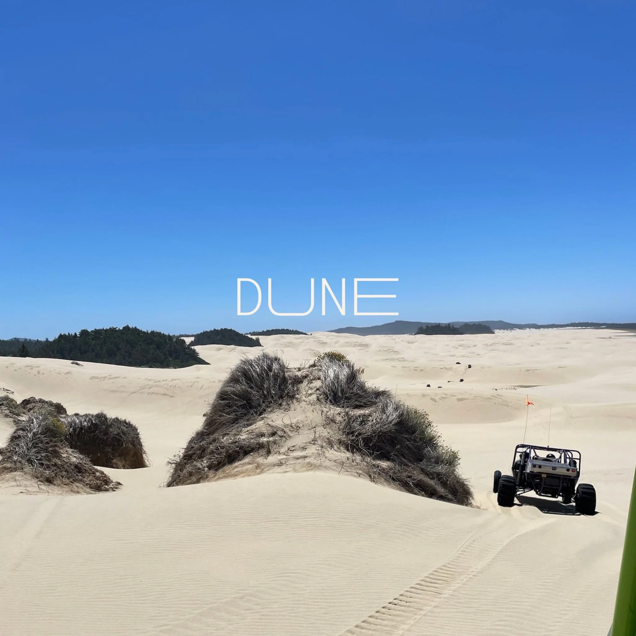 Dune