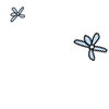 timespray.png
