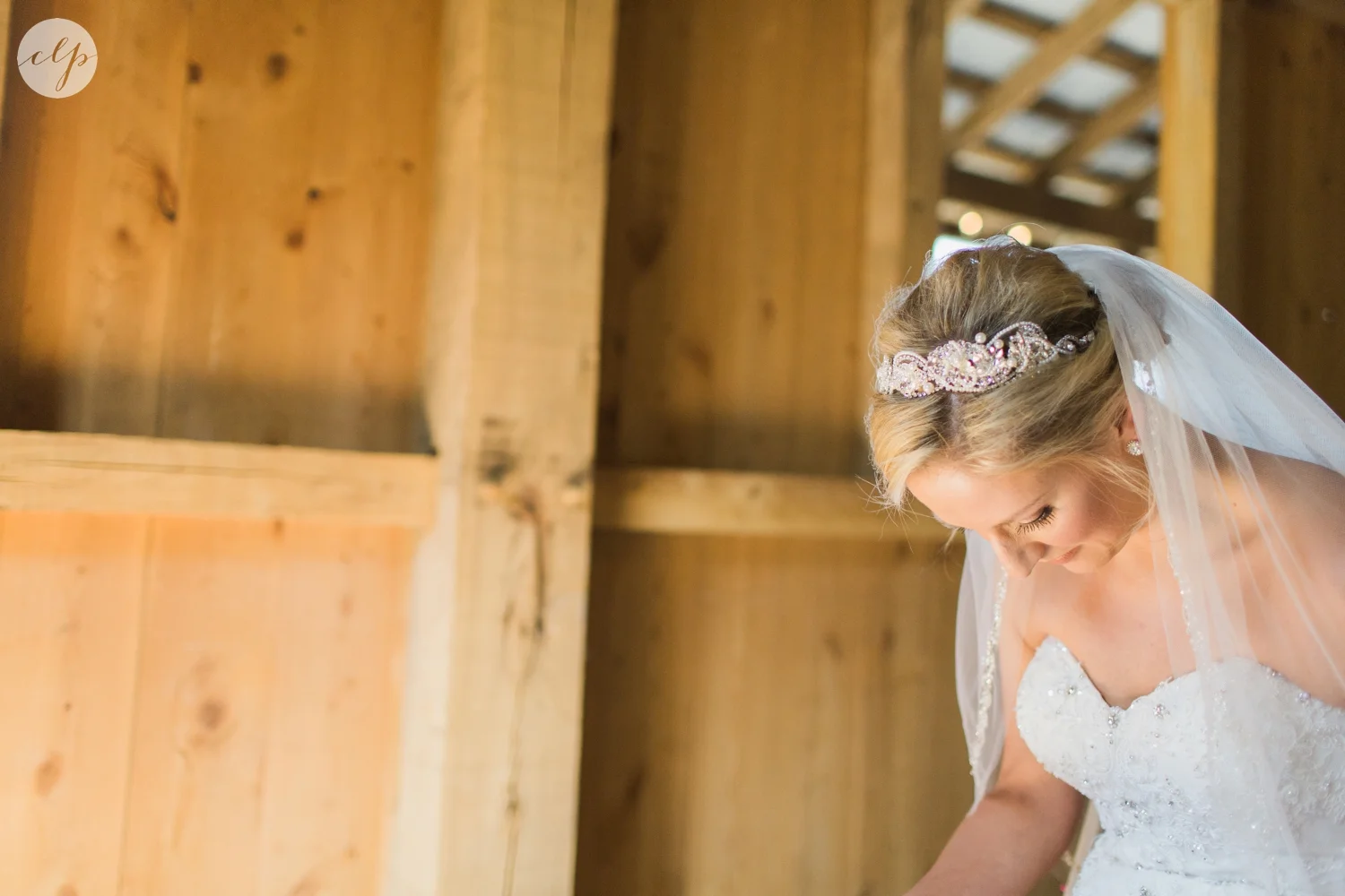 Rivercrest-Farm-Ohio-Wedding-Photography_4005.jpg