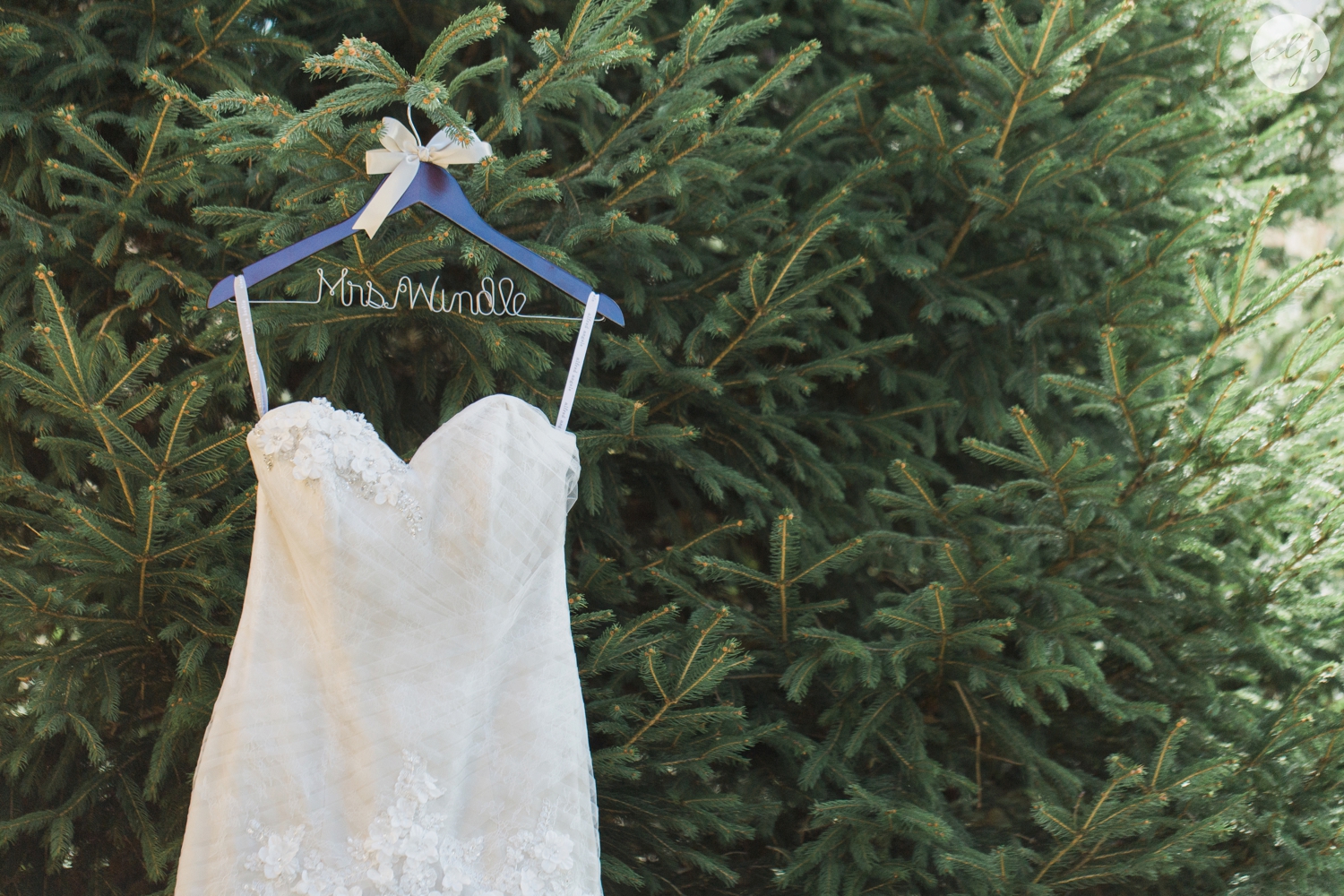 Cox-Arboretum-Dayton-Ohio-Outdoor-Wedding-Photography_4981.jpg