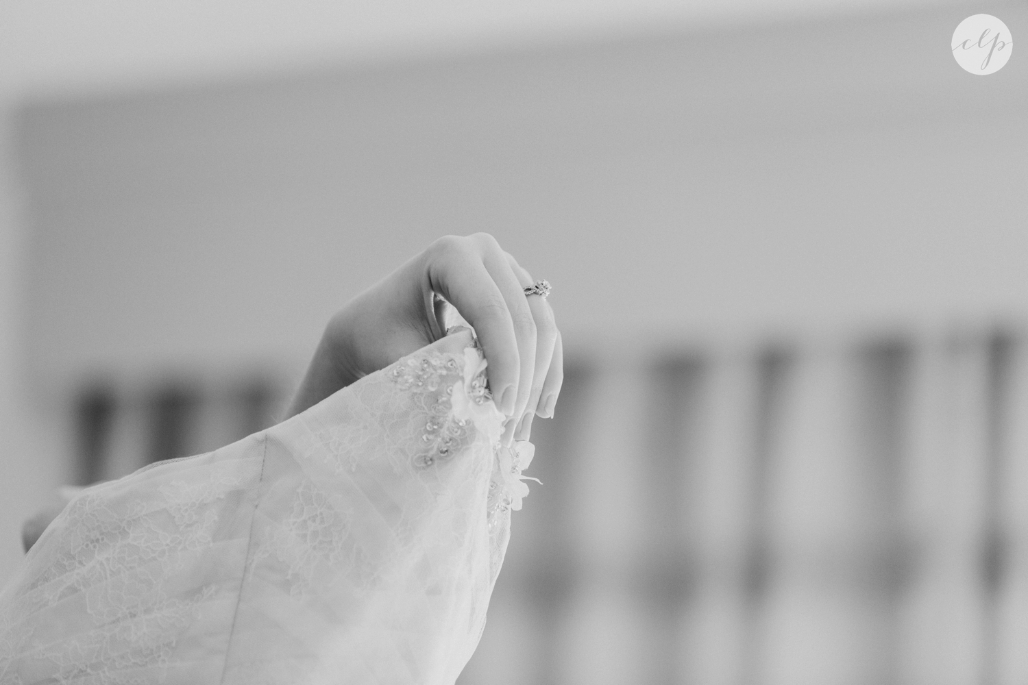 Cox-Arboretum-Dayton-Ohio-Outdoor-Wedding-Photography_4993.jpg