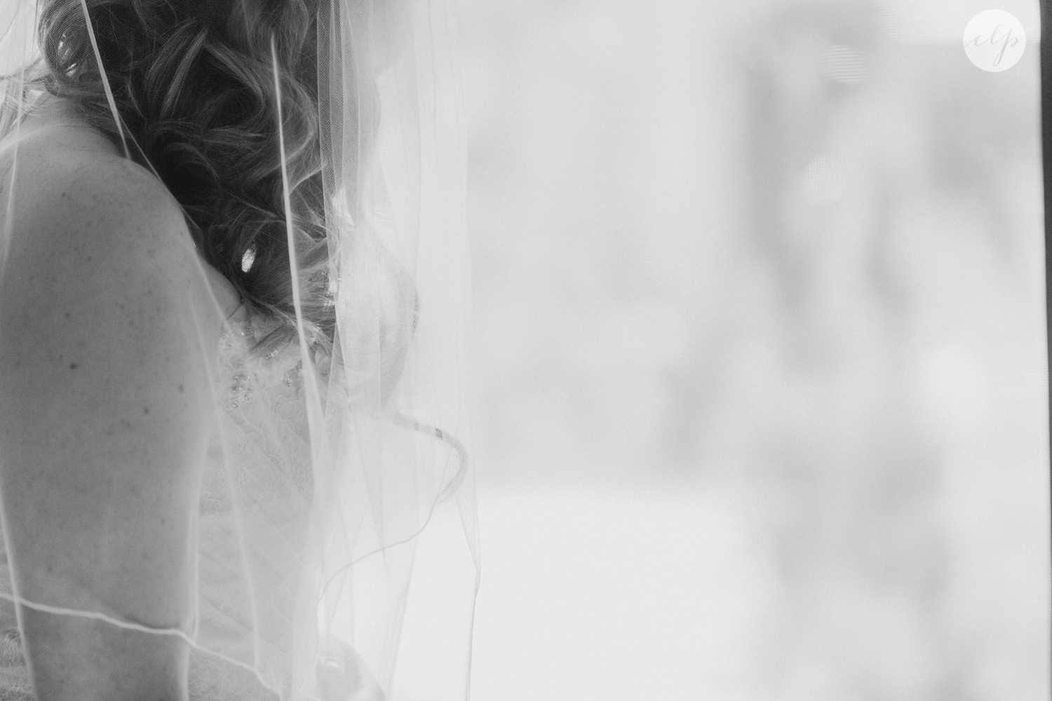 Cox-Arboretum-Dayton-Ohio-Outdoor-Wedding-Photography_4995.jpg