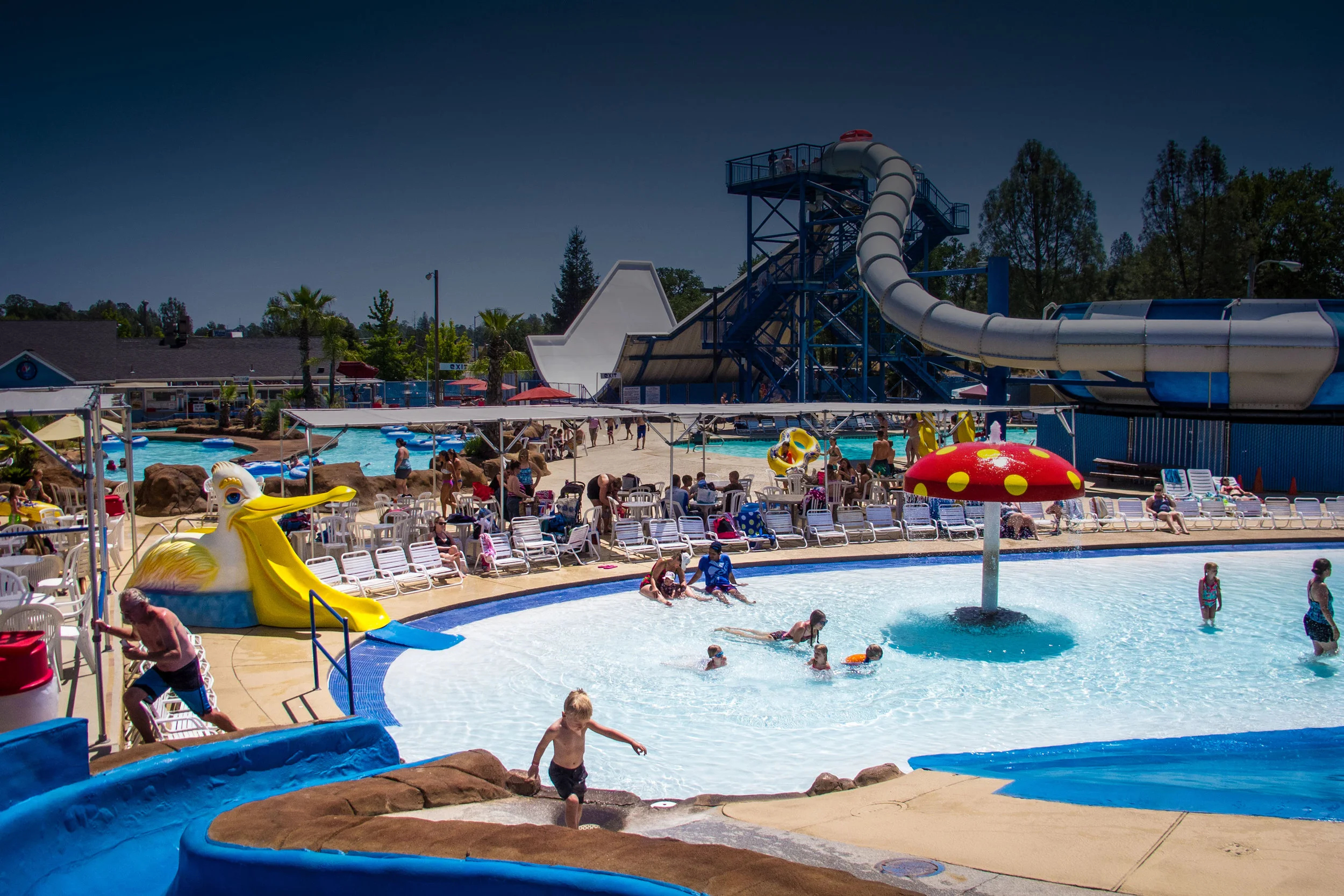 Newly Revamped Kiddie Pool Now Open!