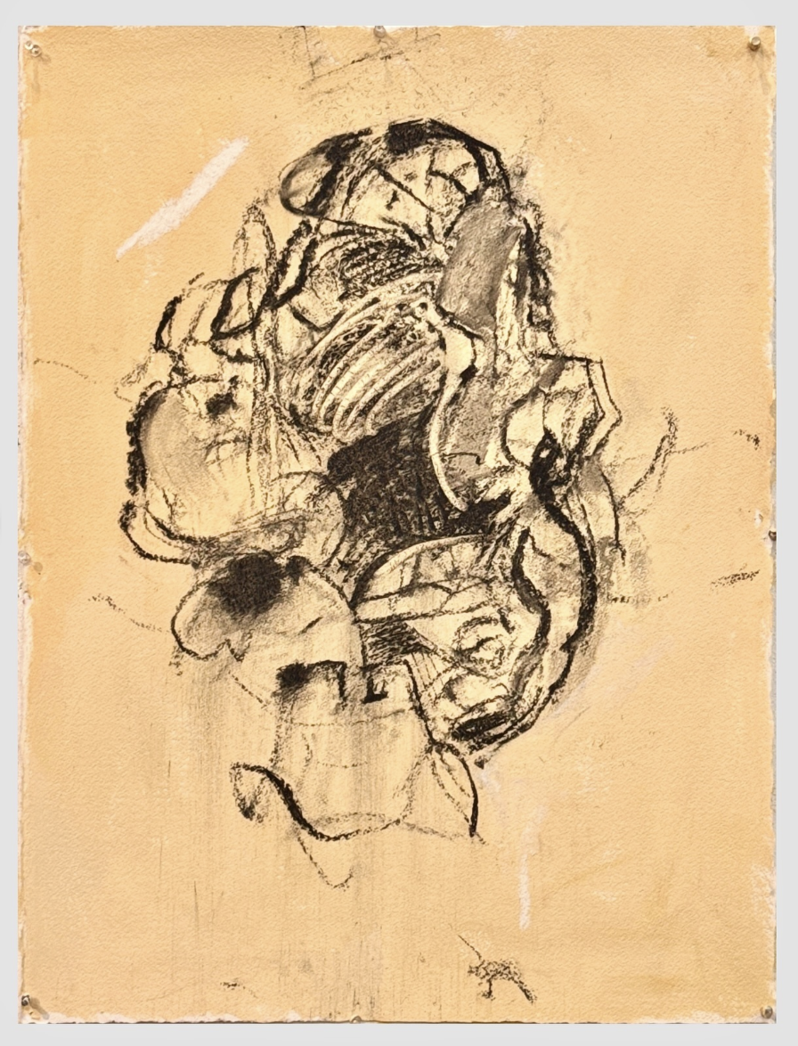  2024-07-21  30 × 22” 