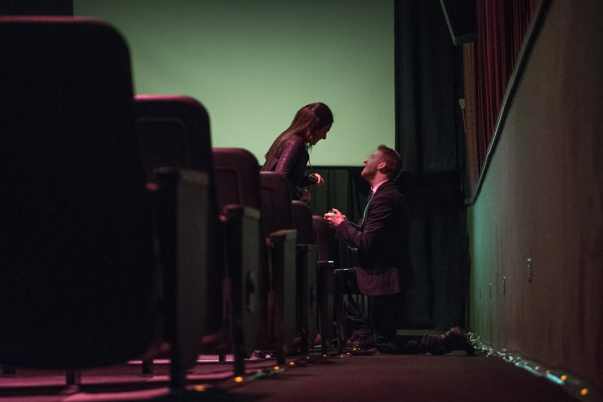 The Proposal.jpg