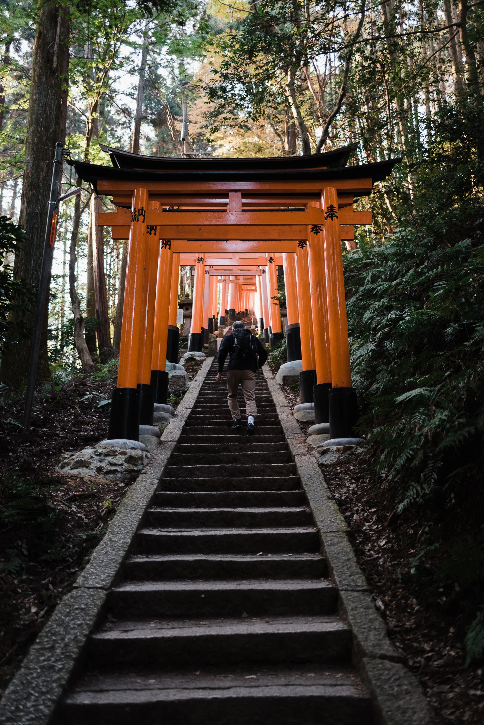 Fushimi Inari Taisha
