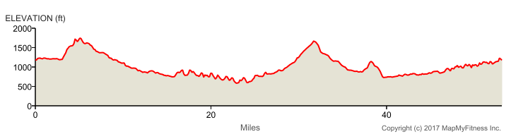 elevation-2.png