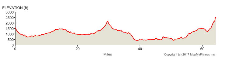 elevation-3.png