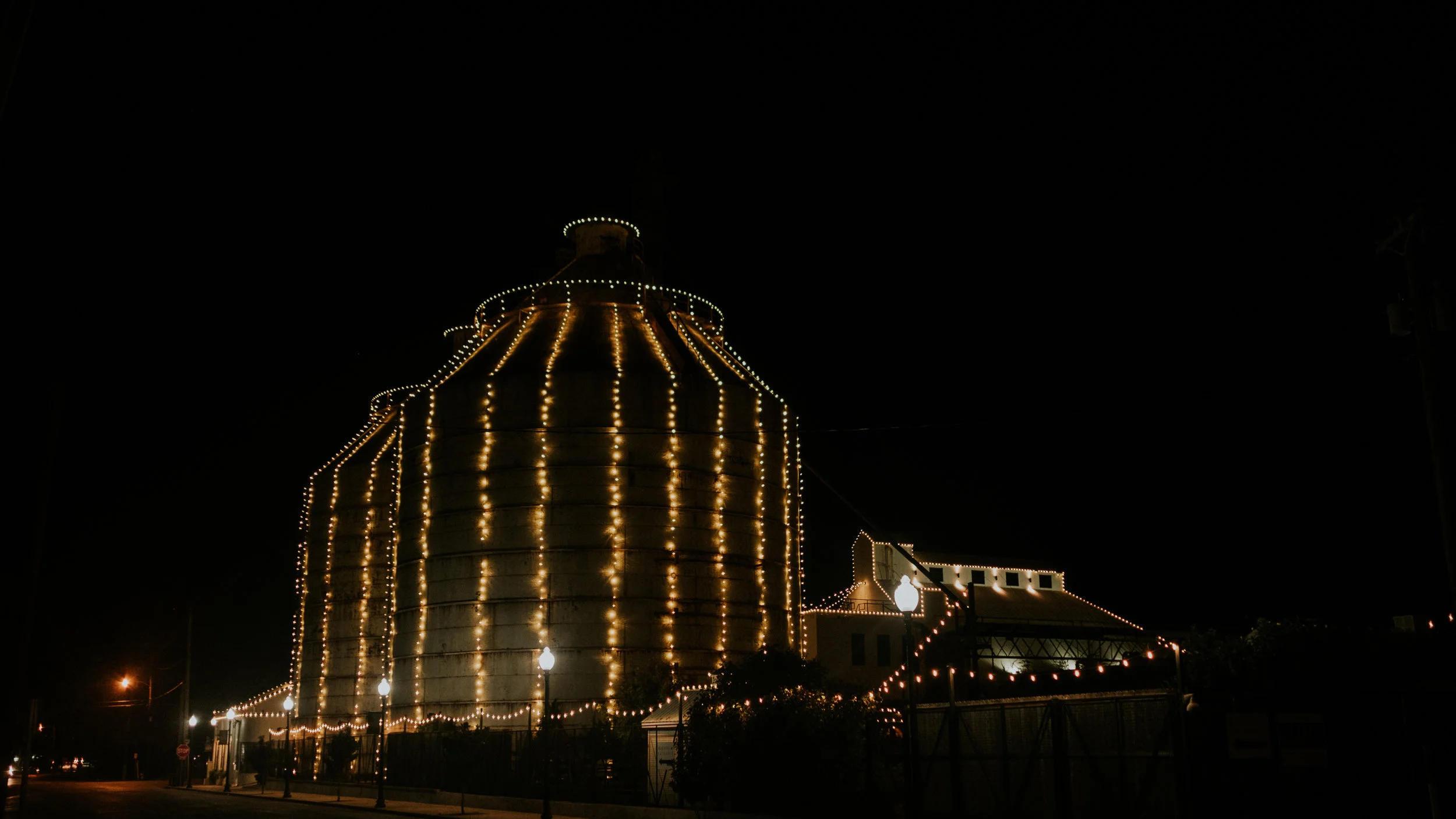 _1PA5538.jpg
