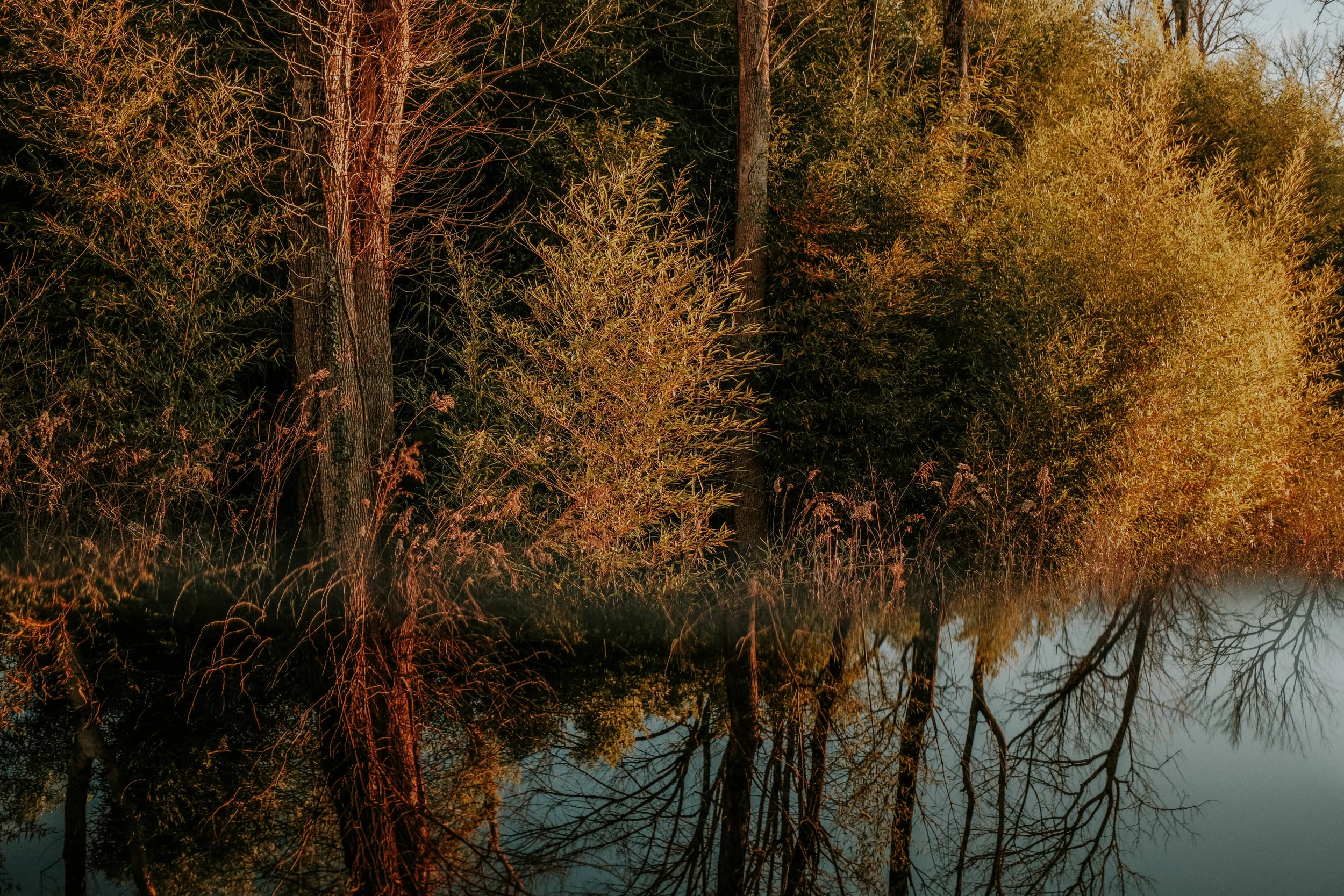 MatthewsNC20196521.jpg