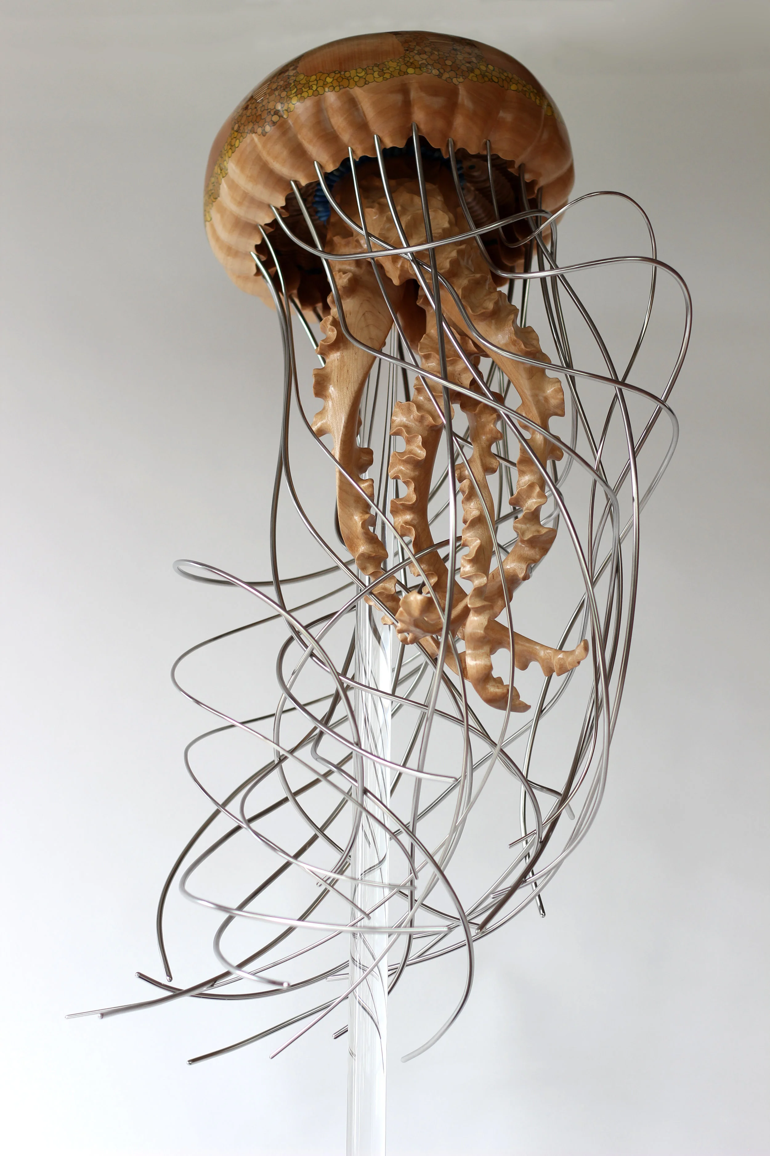 Jellyfish Series #5 — Sam Hingston Sculpture.