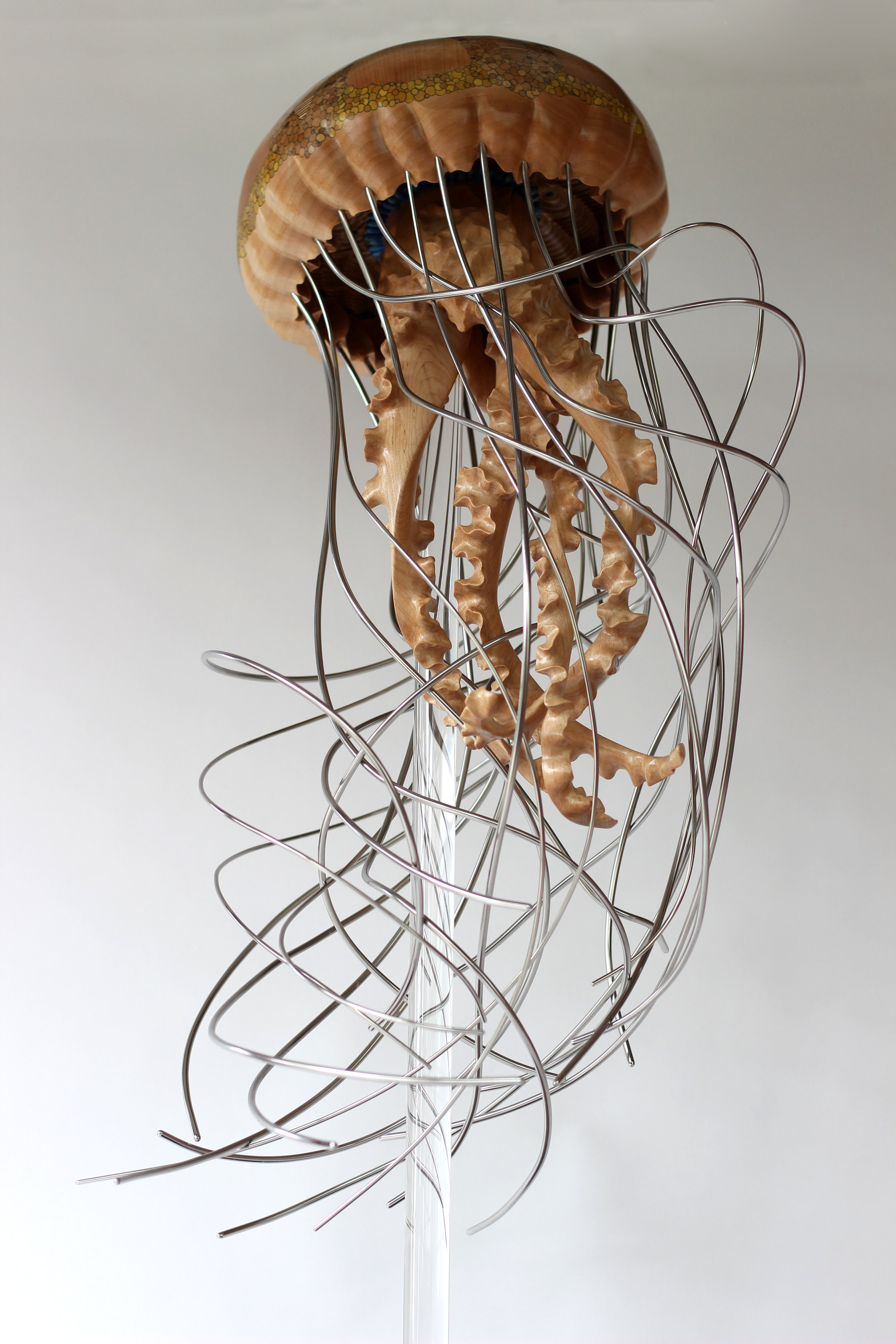 Jellyfish Series #5 — Sam Hingston Sculpture.
