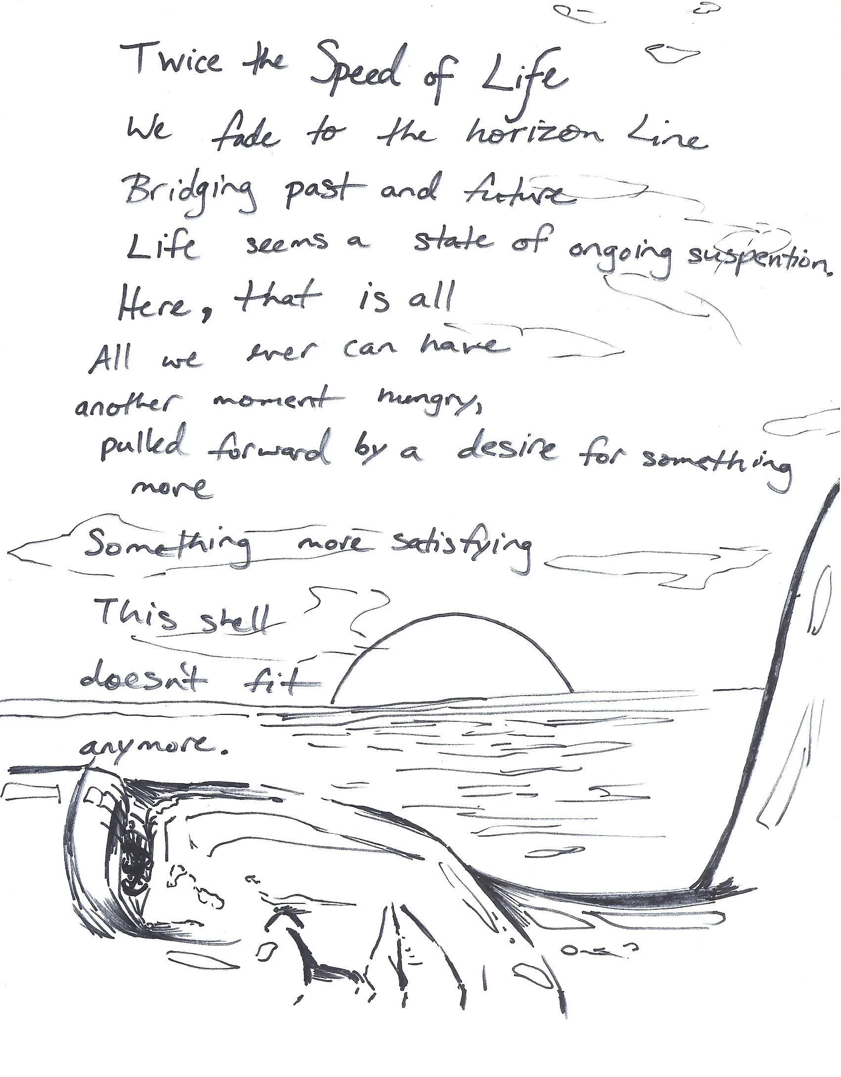 Twice the Speed of Life 2-7-2015.jpeg