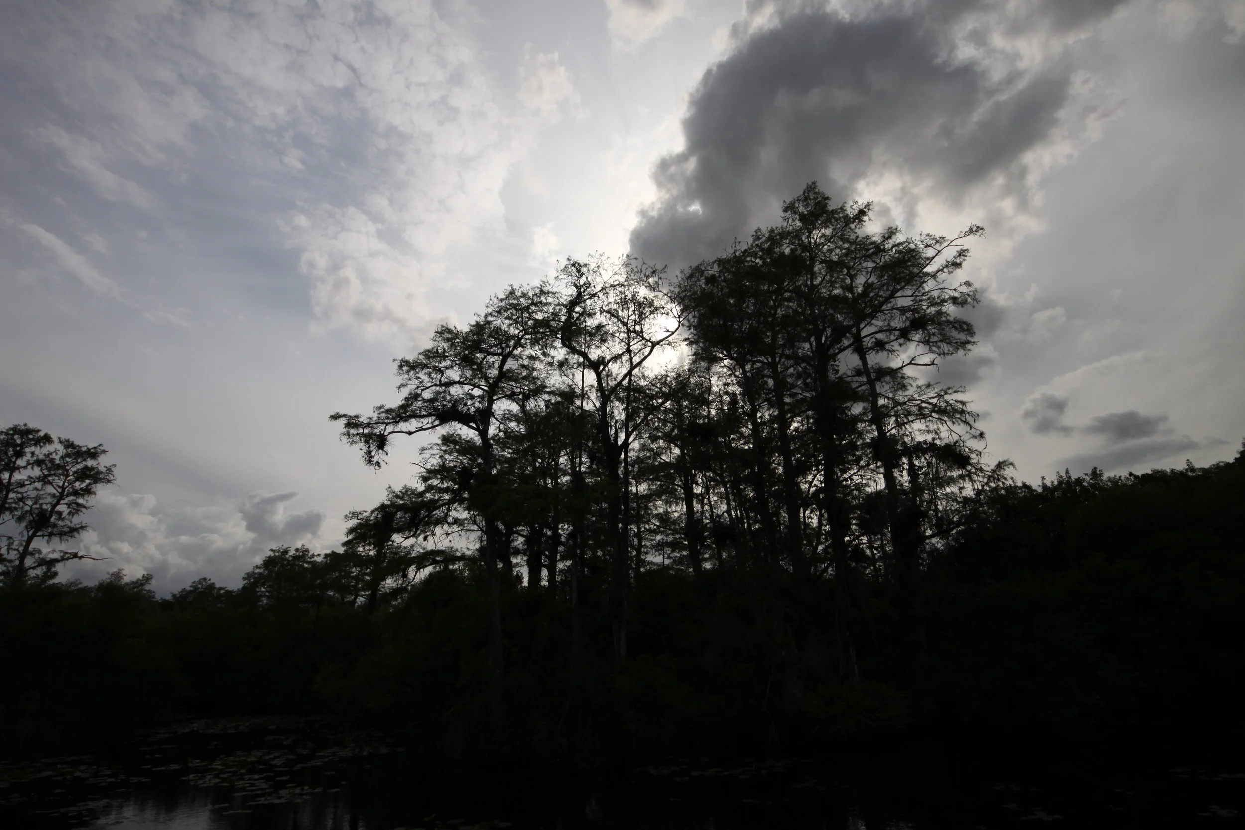 Everglades Tamiami Trail Stop ROGG Exhibit 758.JPG