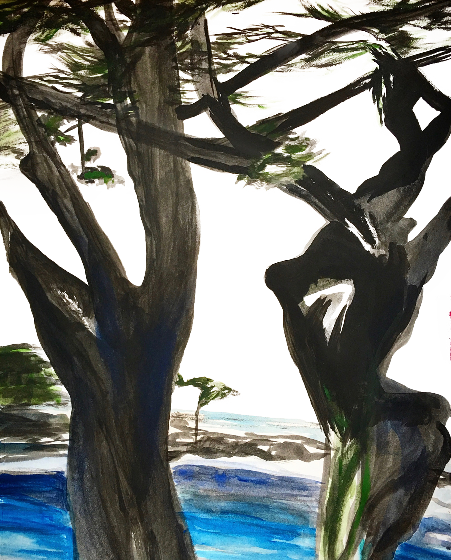Cypress Silhouette small.png