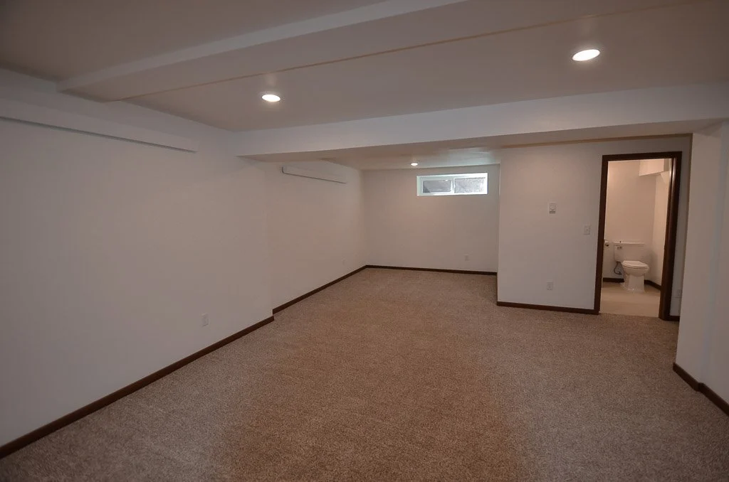 downstairs rec room
