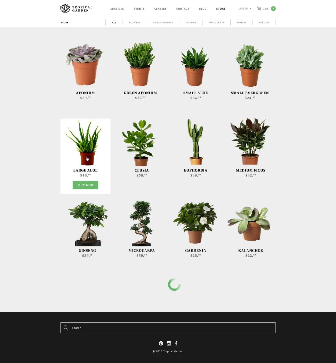 TropicalGarden_5.jpg