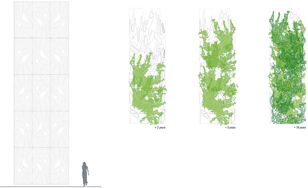 Partial Elevations showing the change over time.