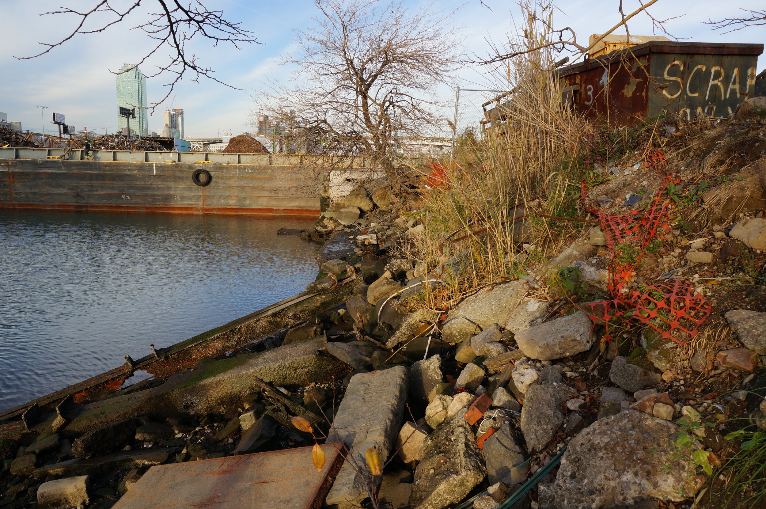 debris at shoreline.jpg