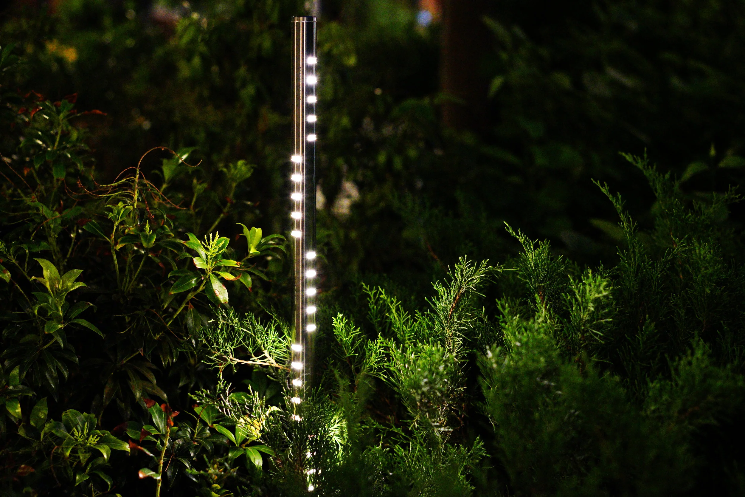 LIGHT PROTOTYPE.jpg