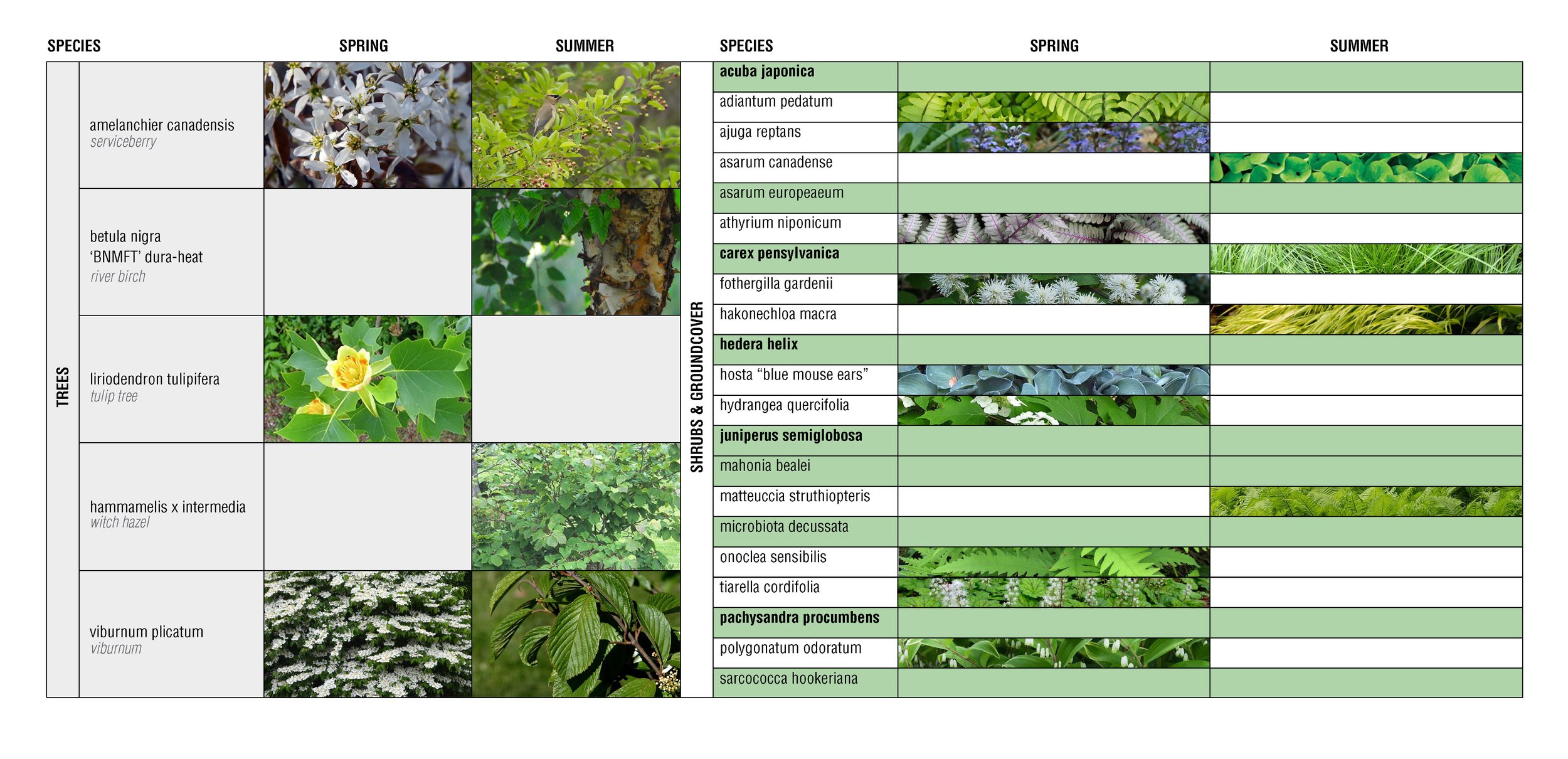 planting seasonality - summer &amp; spring